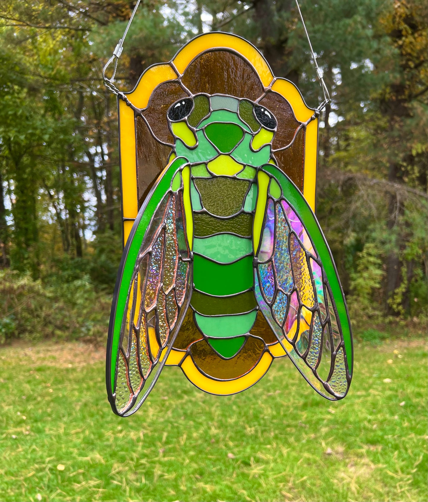 Golden cicada