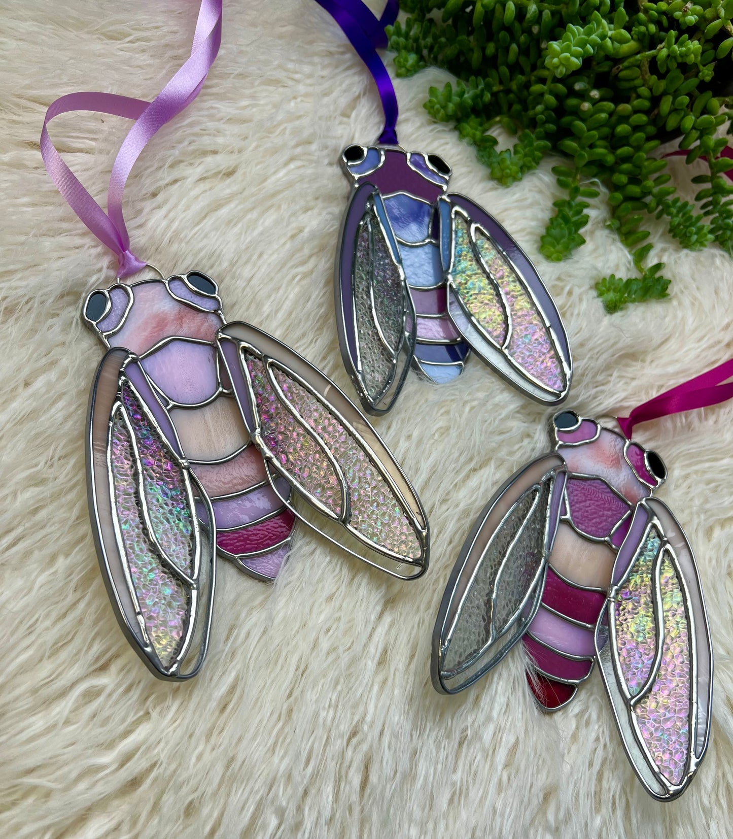 Sweetheat cicada