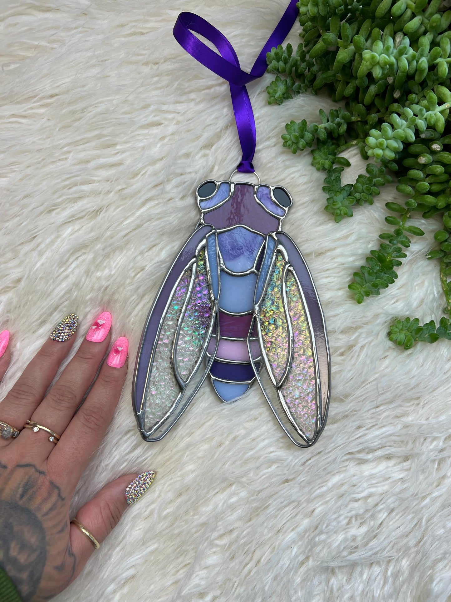 Sweetheat cicada