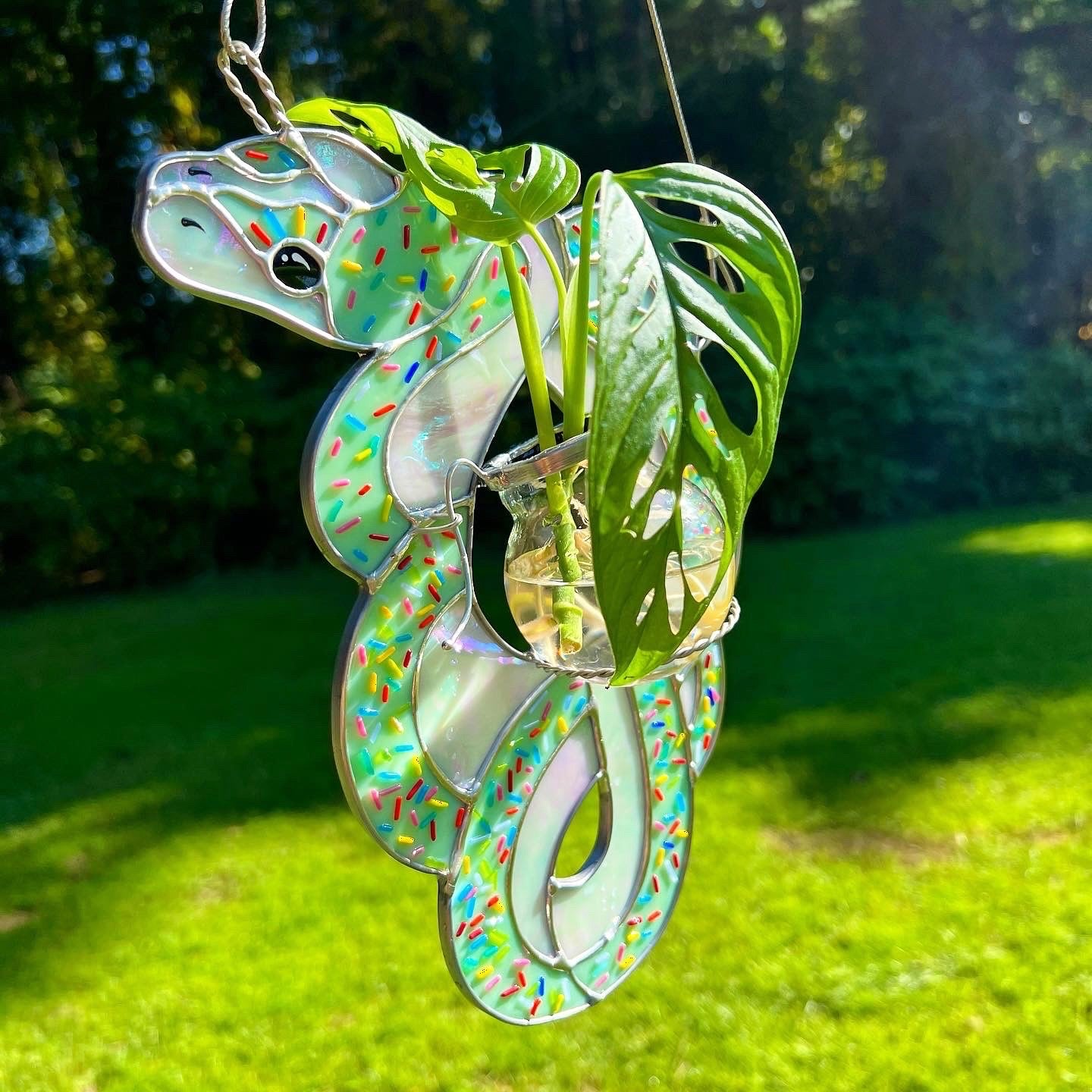 Candy Snake Propagation