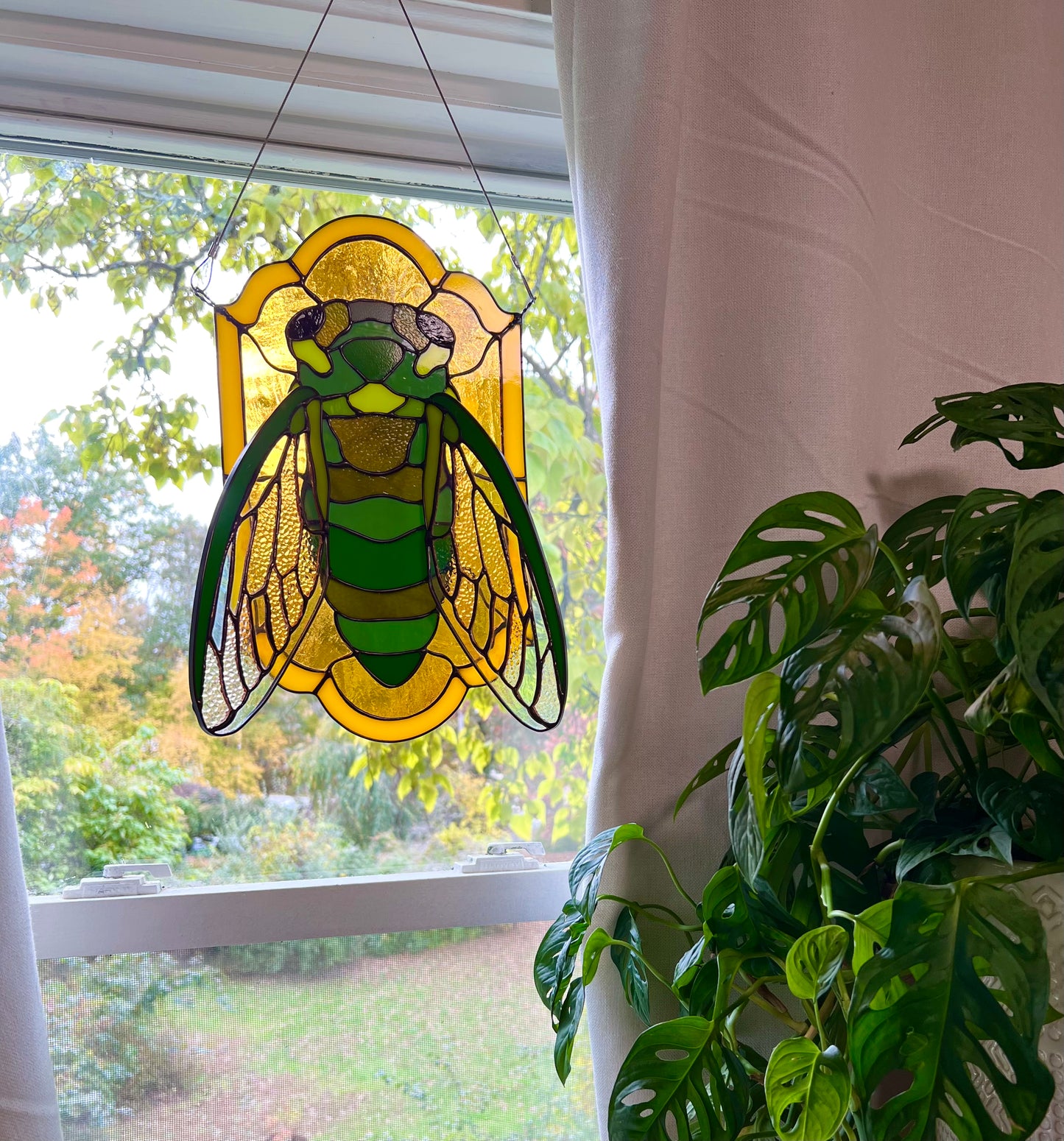 Golden cicada