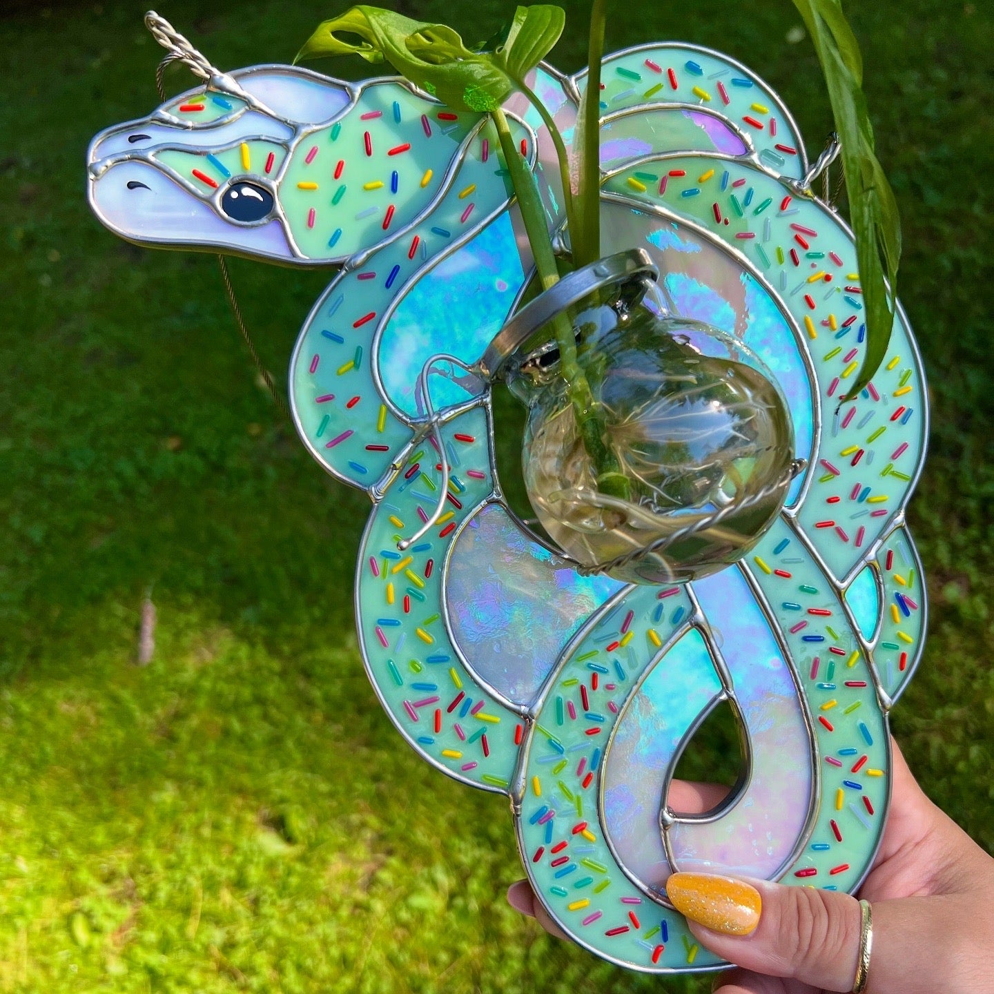 Candy Snake Propagation