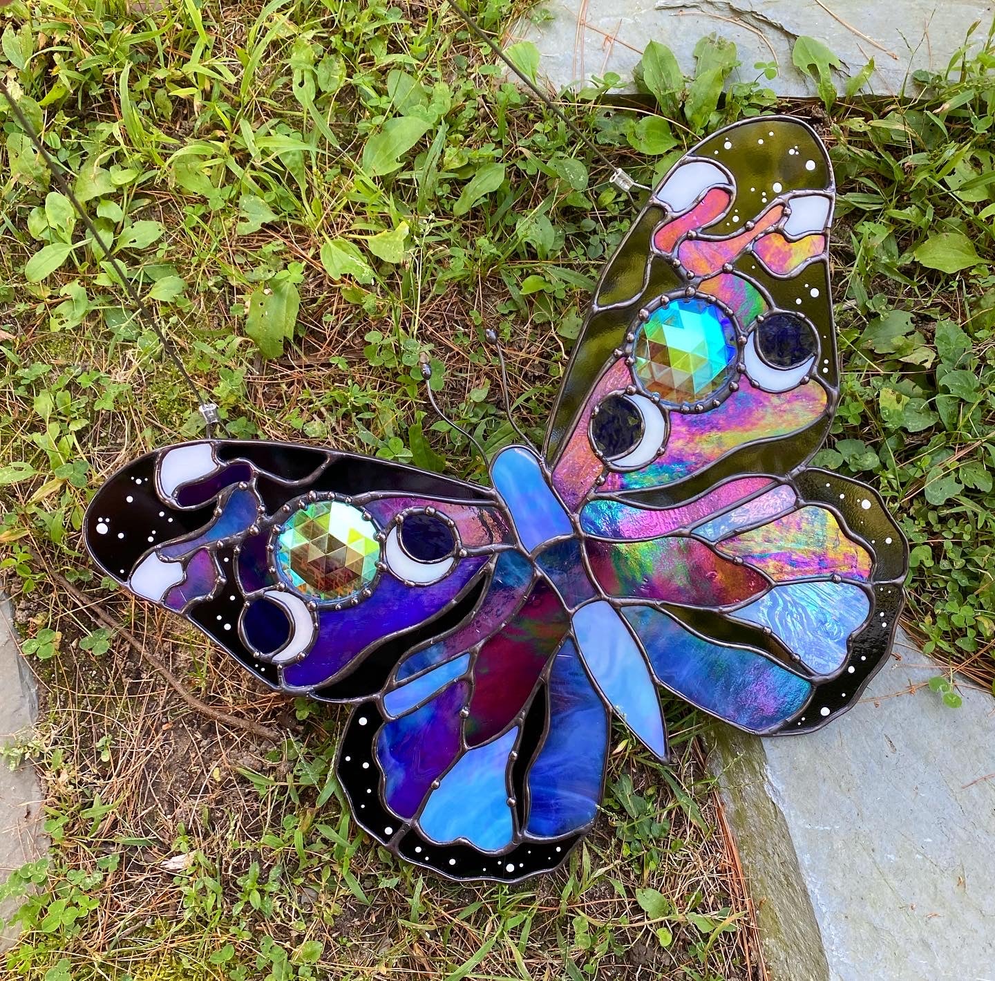 Moon monarch