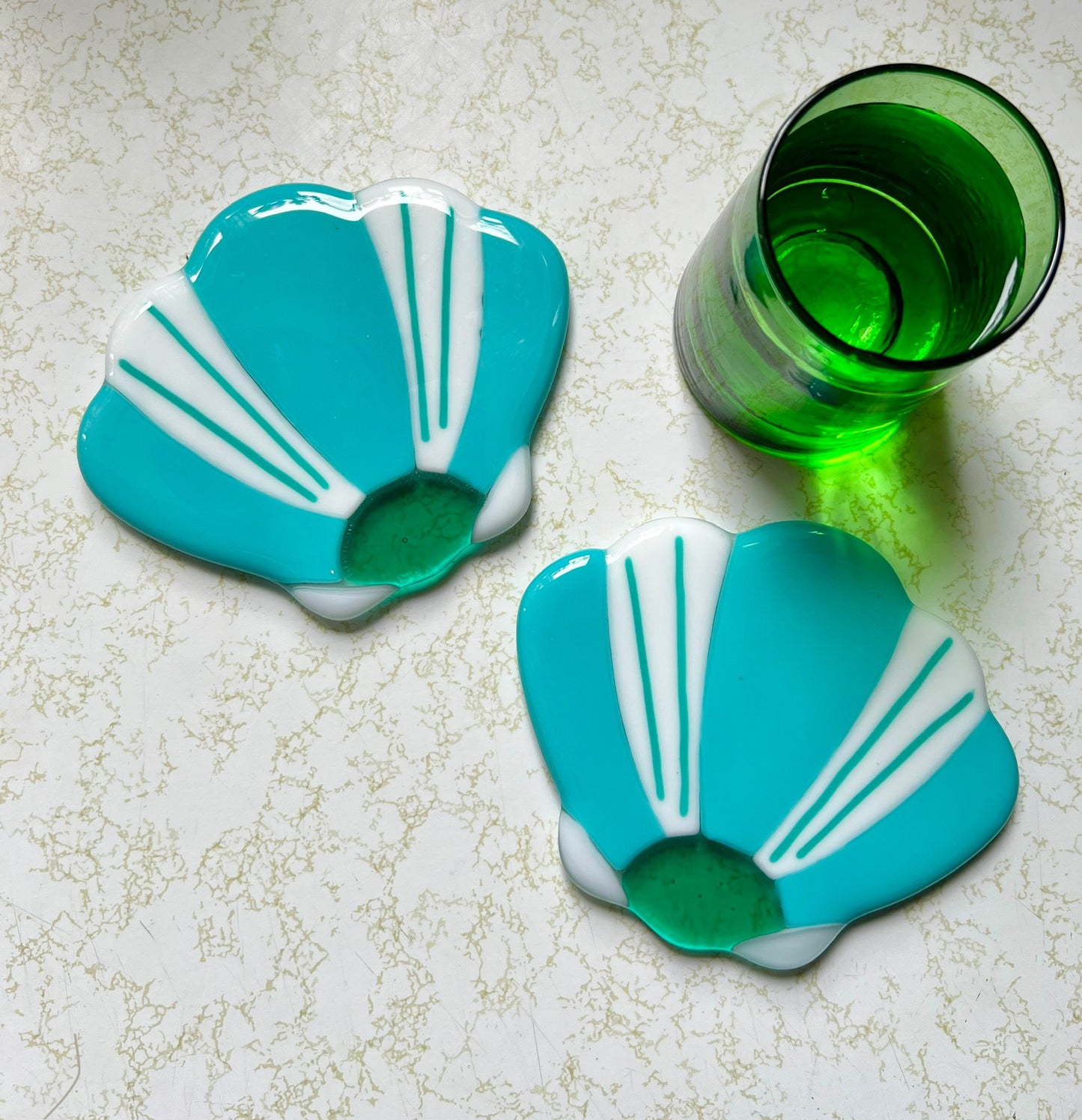 Shell coaster set