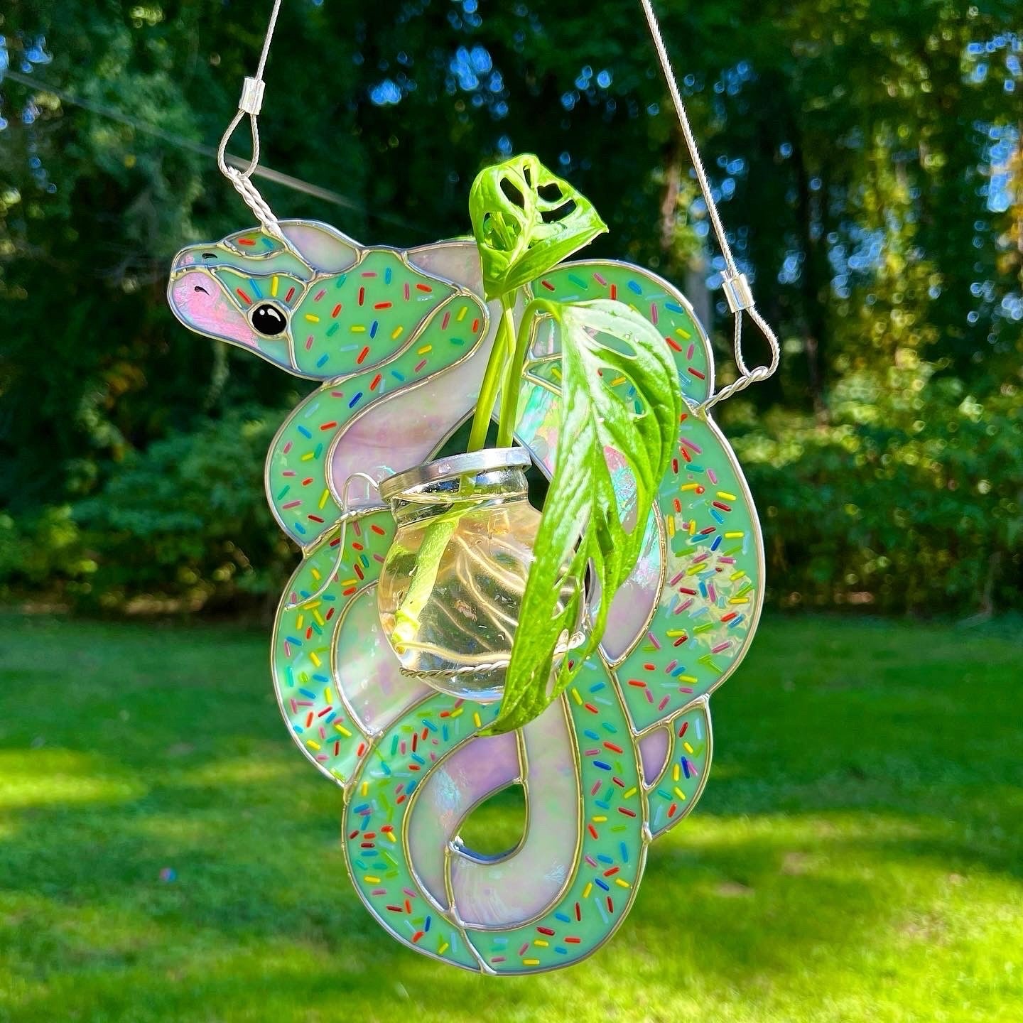 Candy Snake Propagation