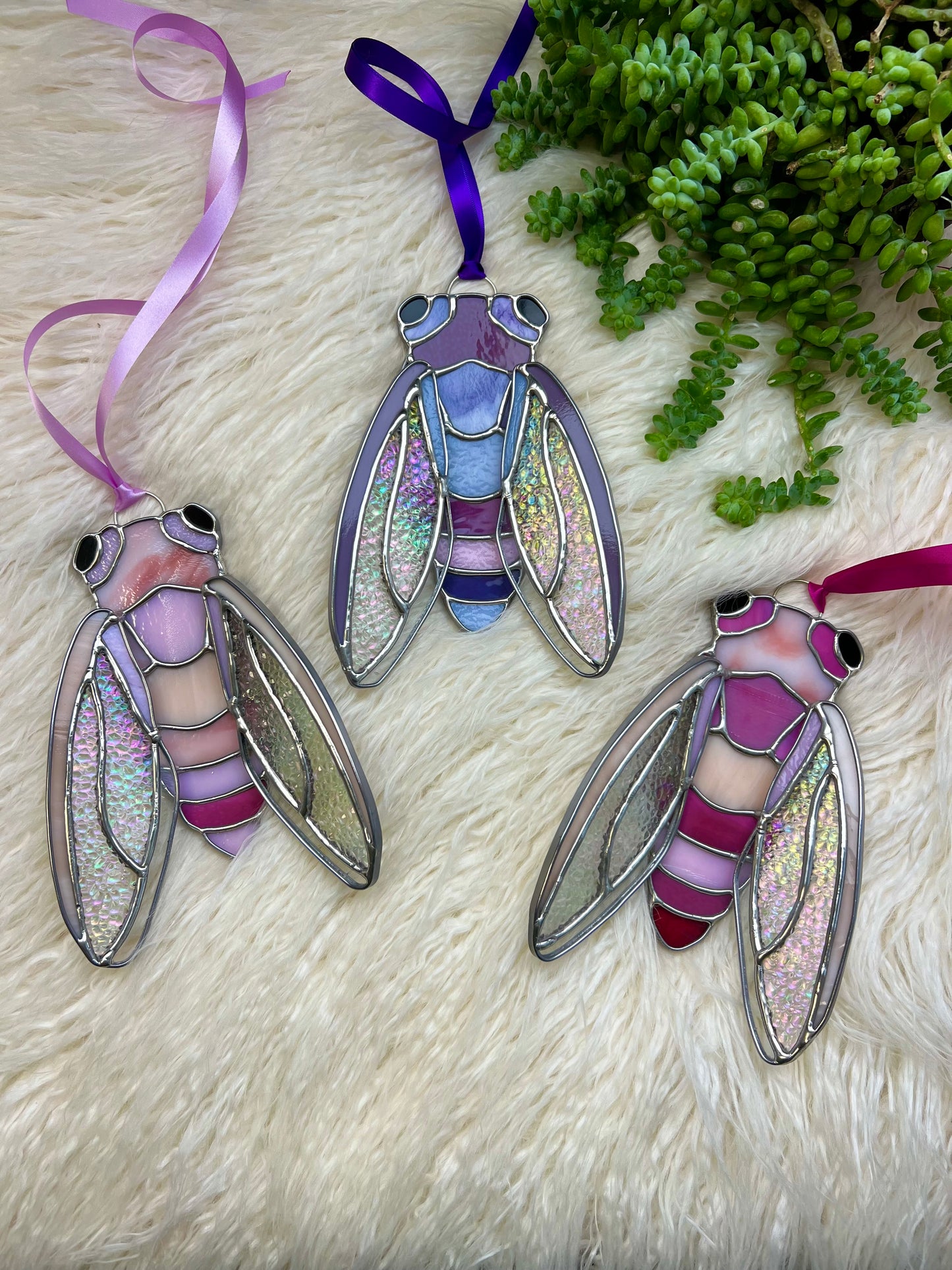 Sweetheat cicada