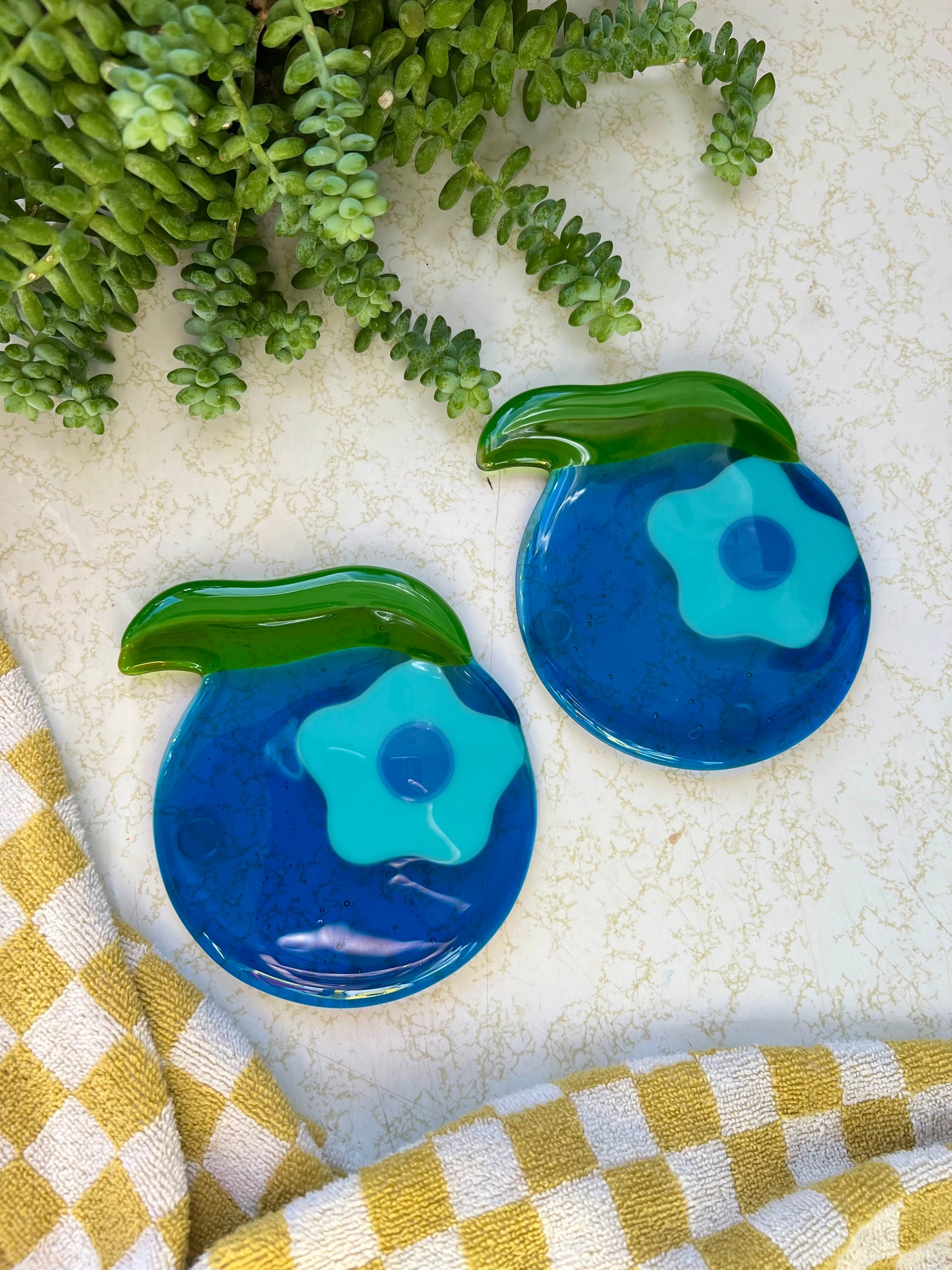 Blueberry coaster set