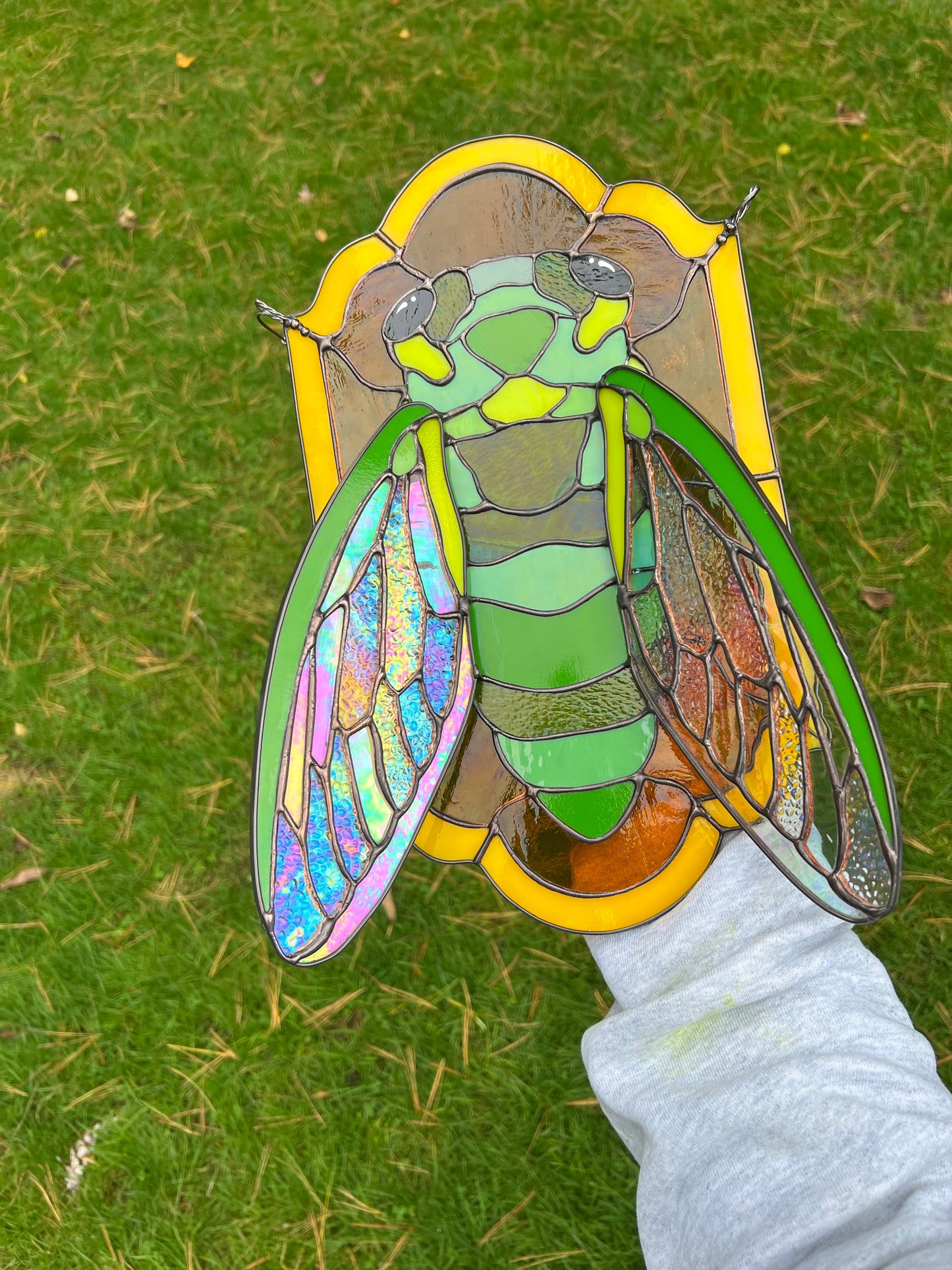 Golden cicada
