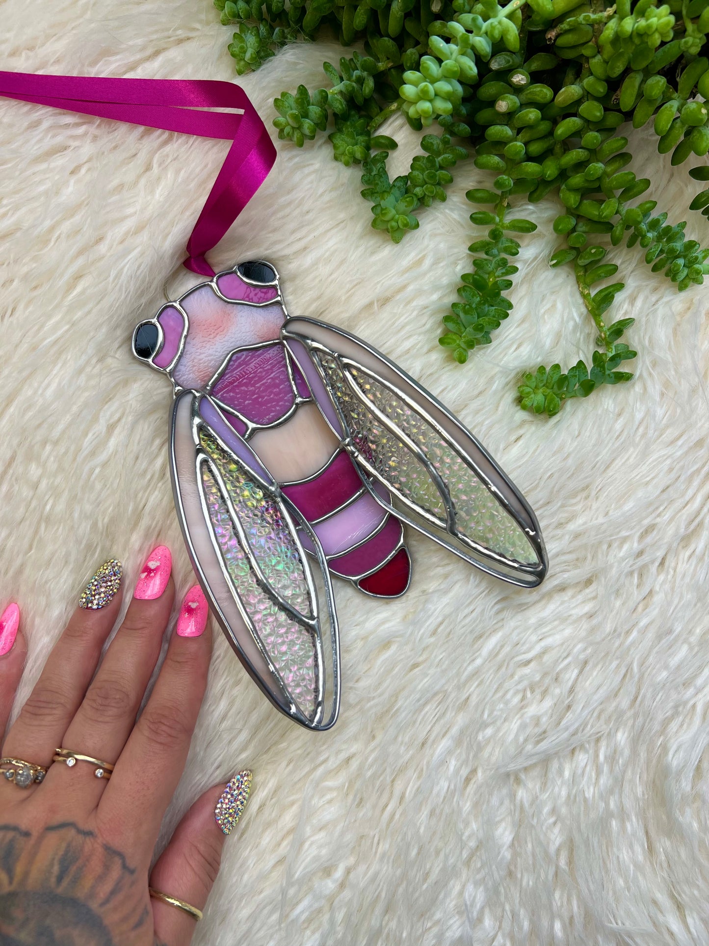 Sweetheat cicada