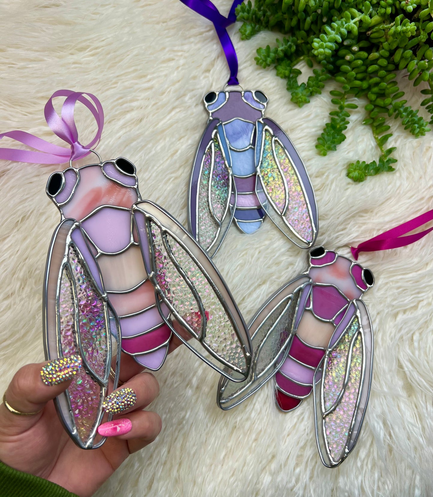 Sweetheat cicada
