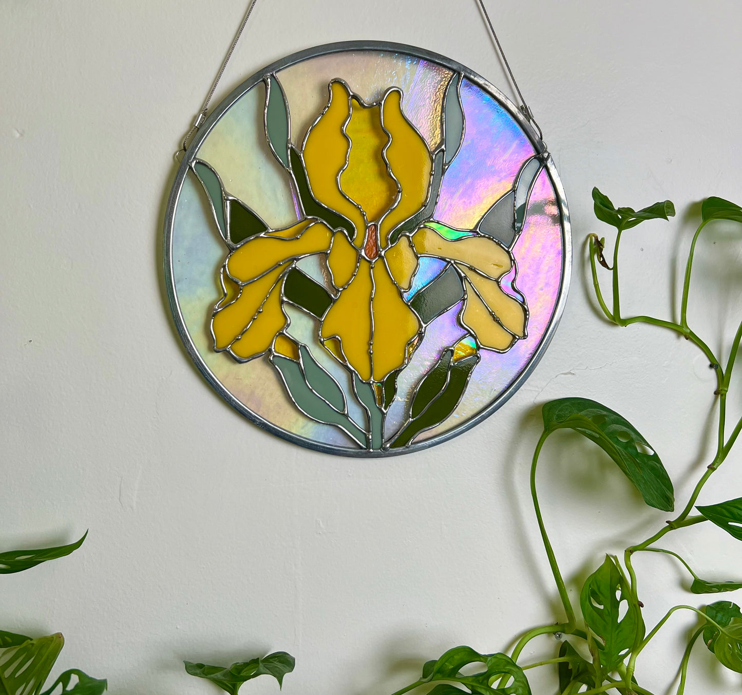 Golden iris