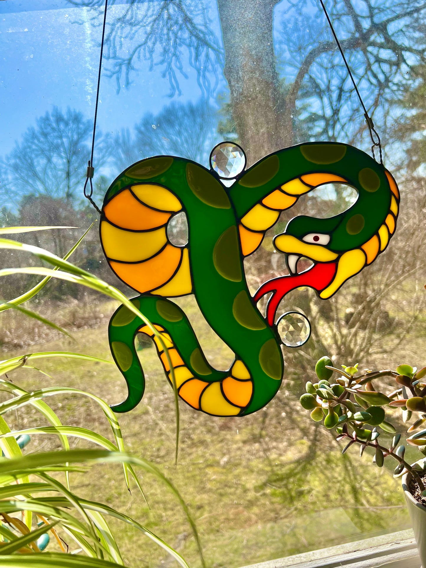 Snake