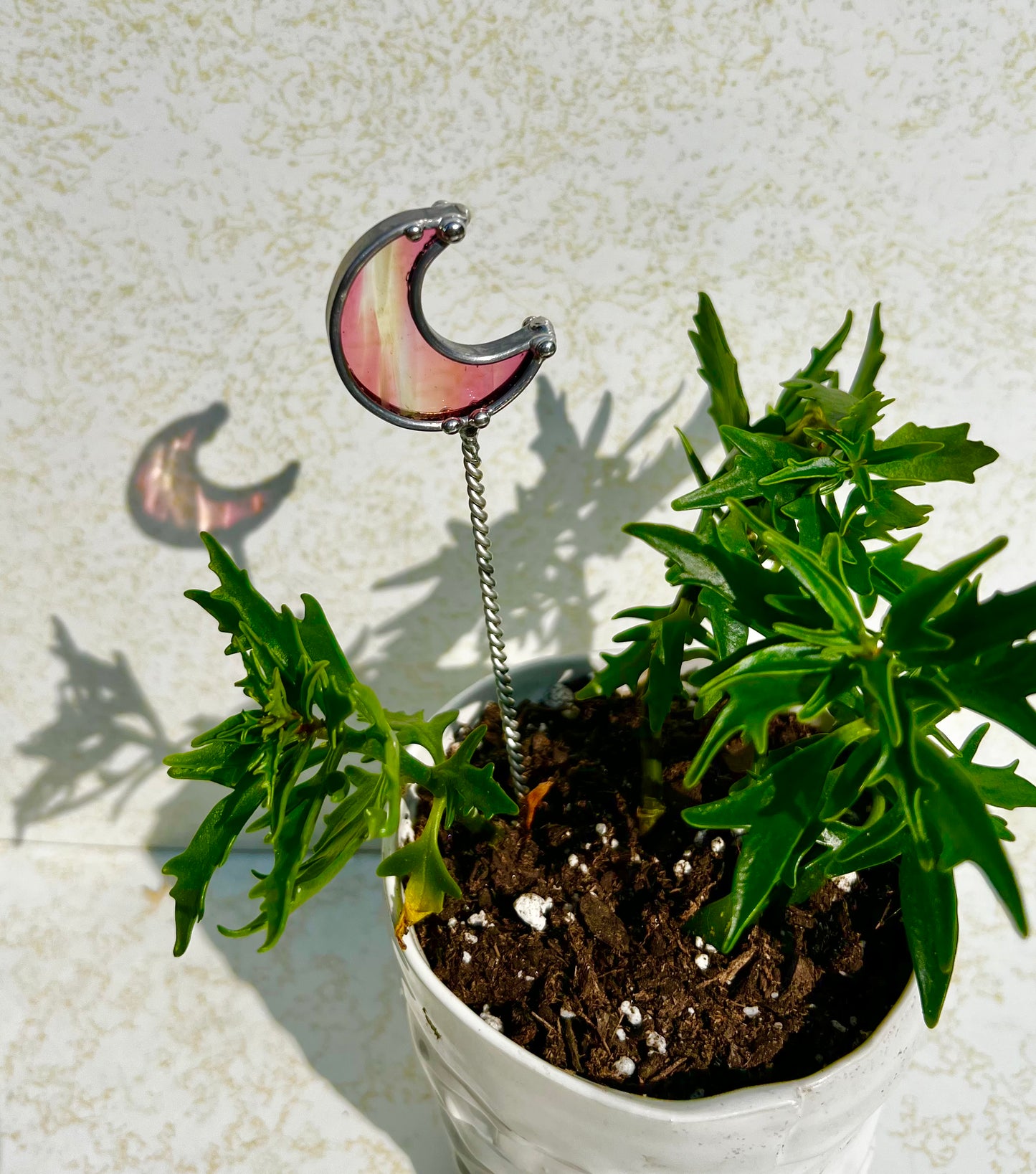 Moon stake