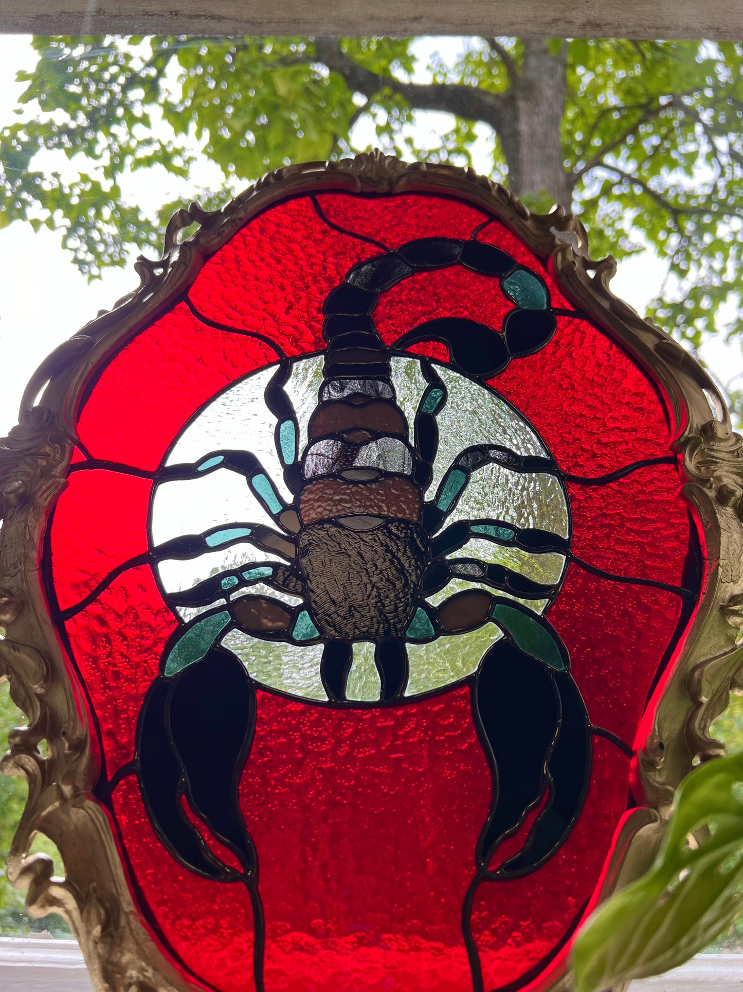 Scorpion