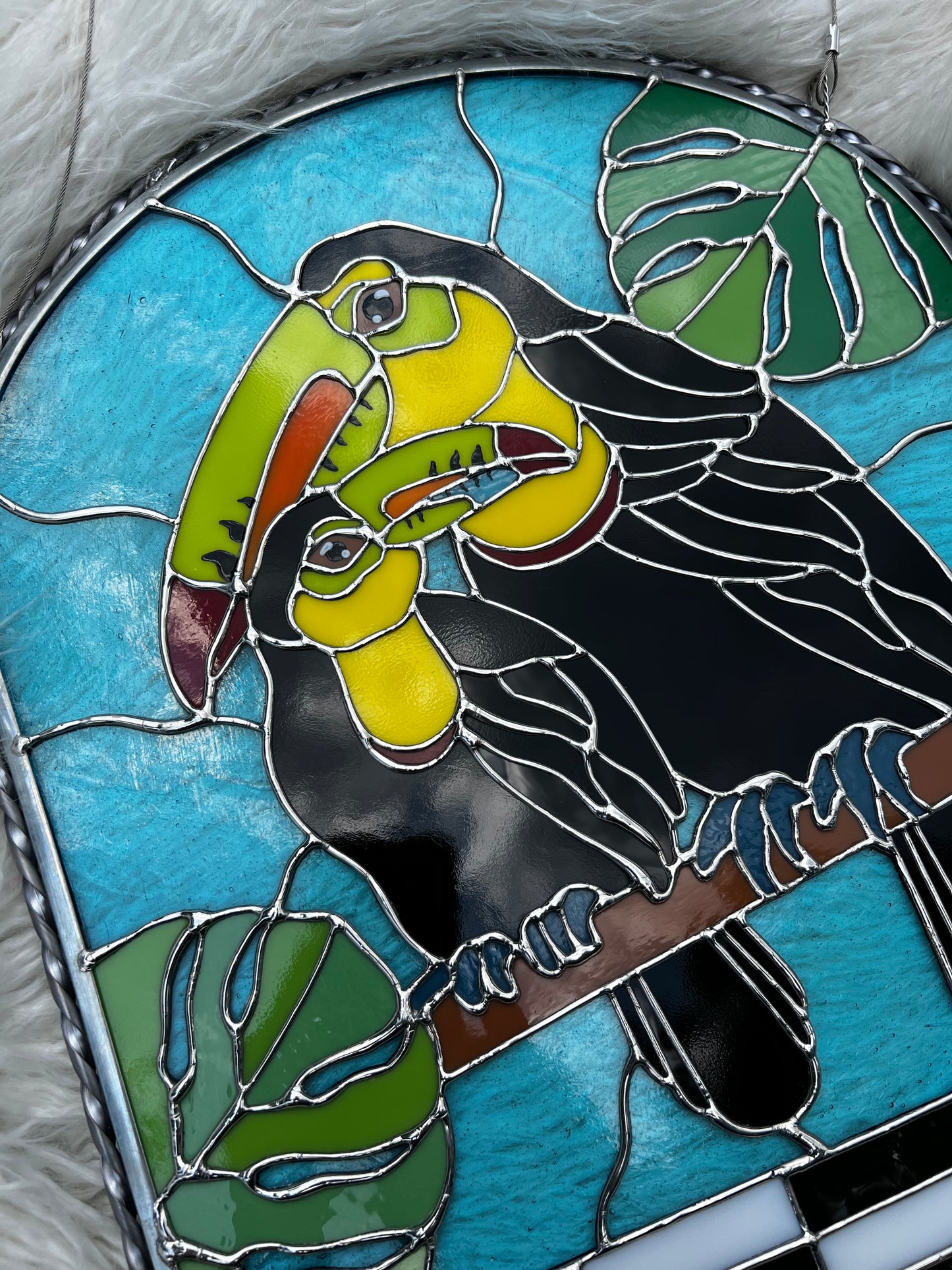 Toucans