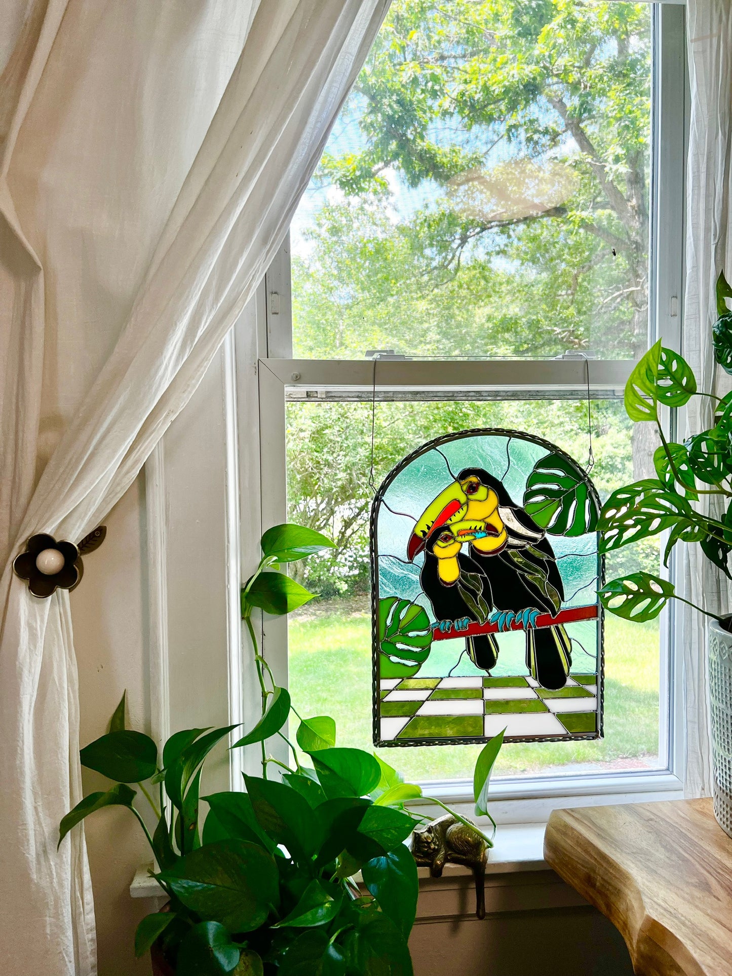 Toucans