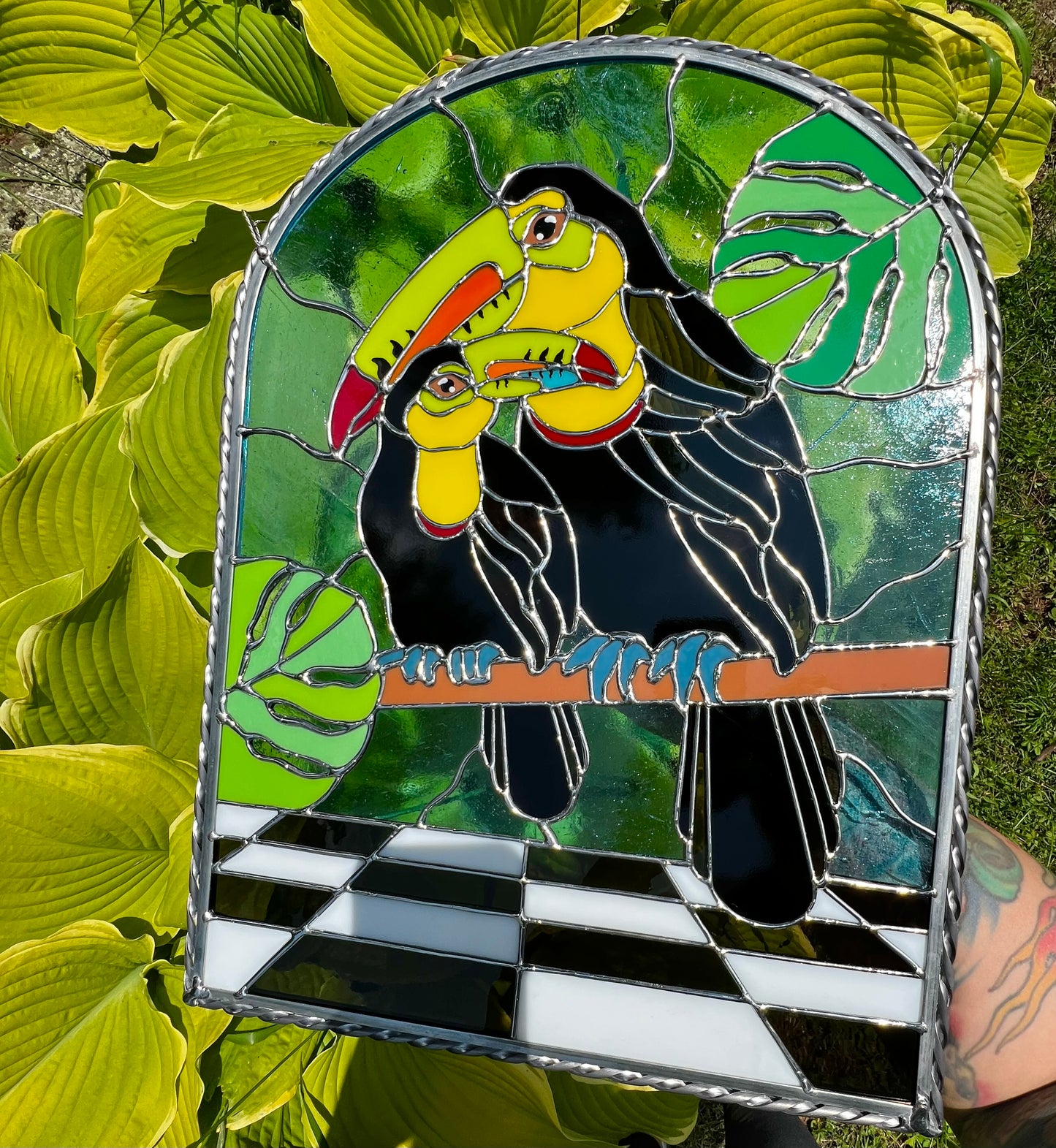 Toucans
