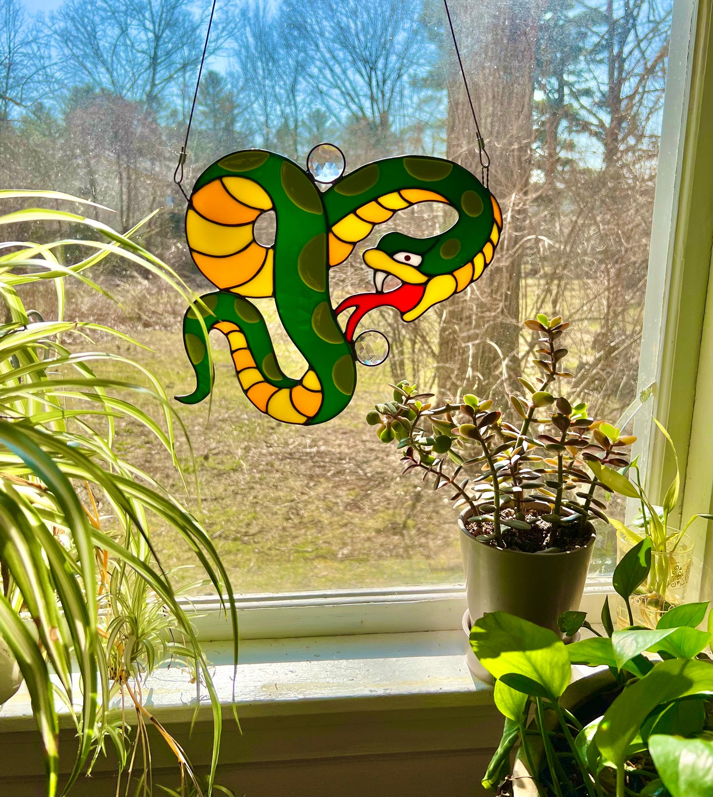 Snake