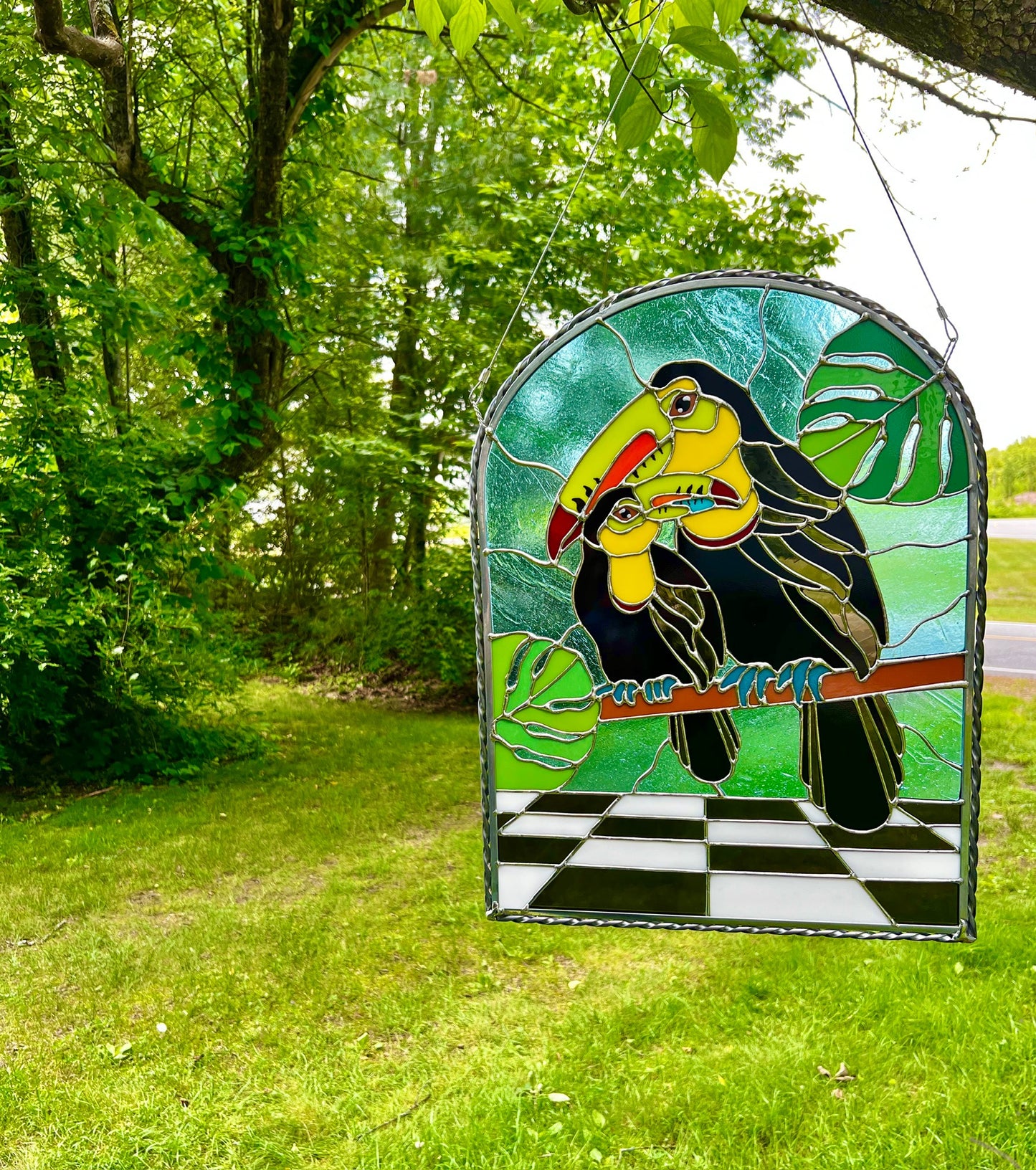 Toucans