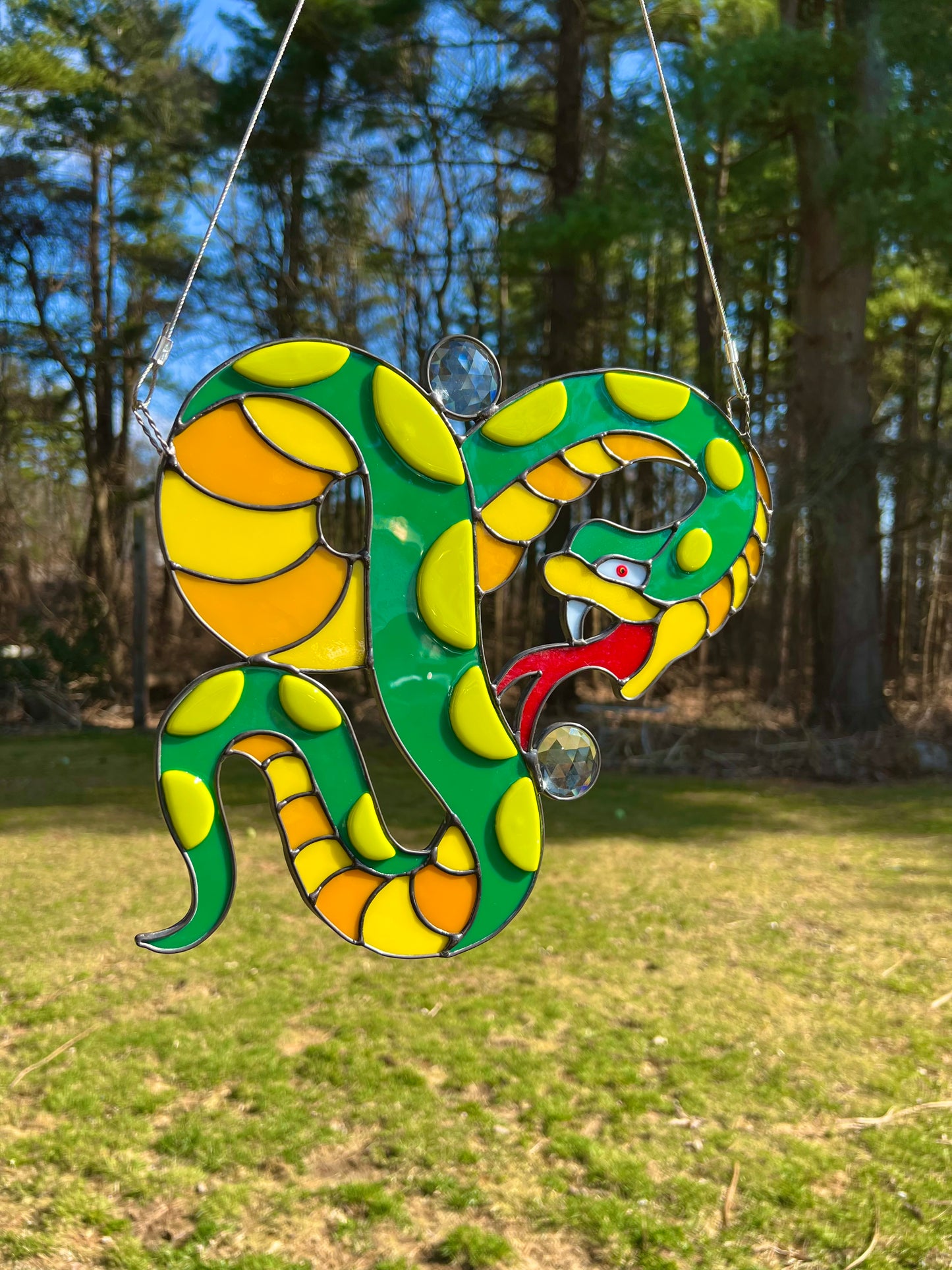 Snake