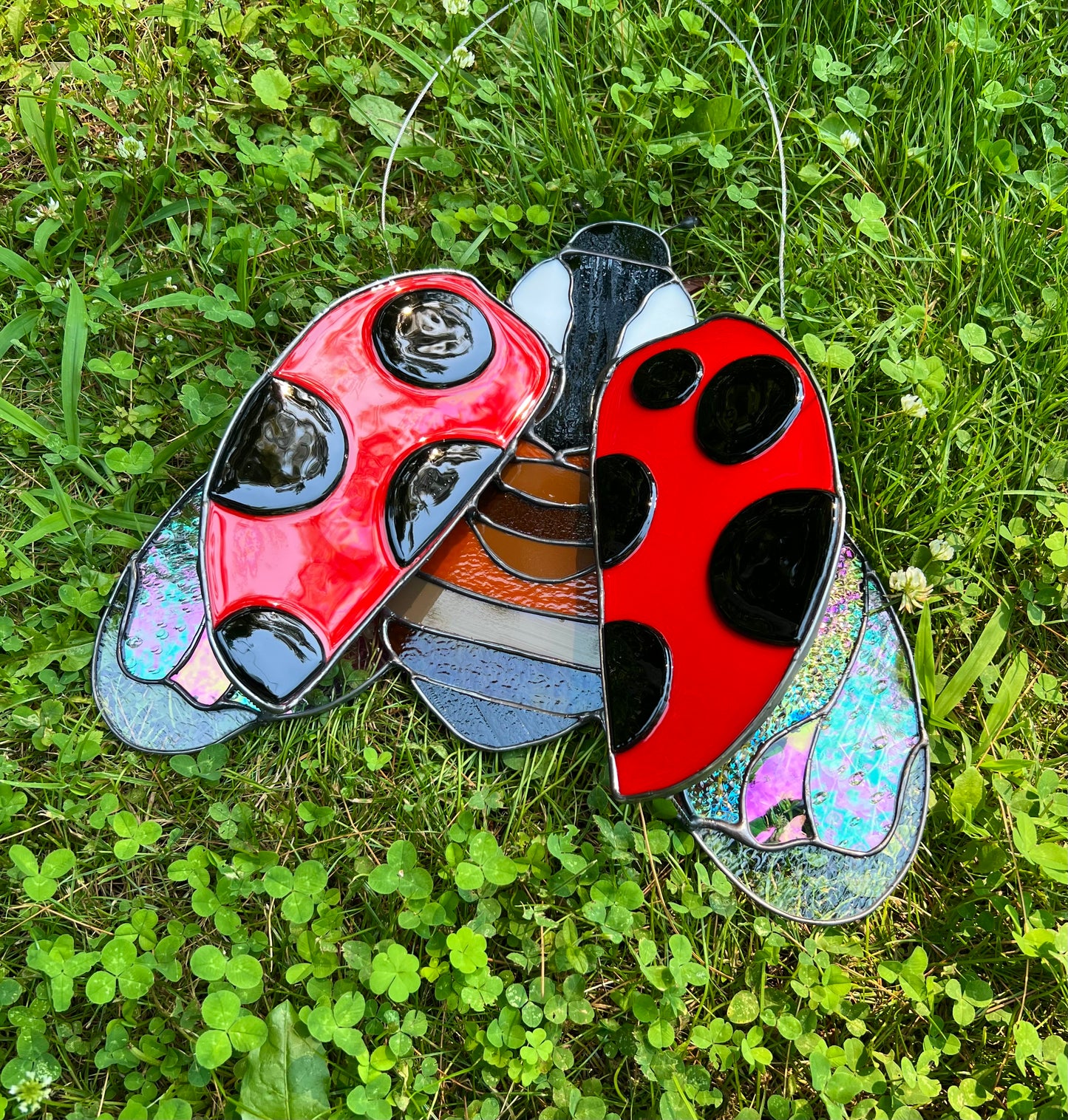 Ladybug