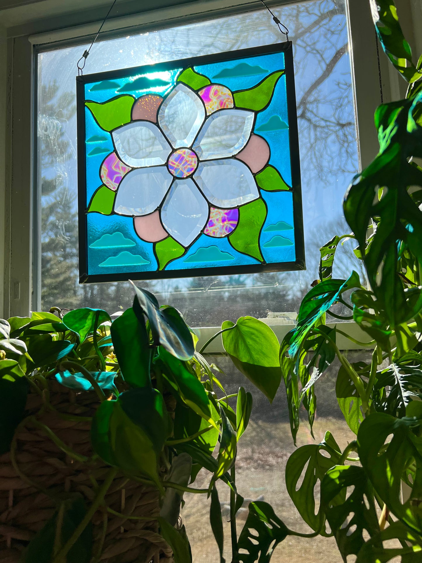 Spring is in the air