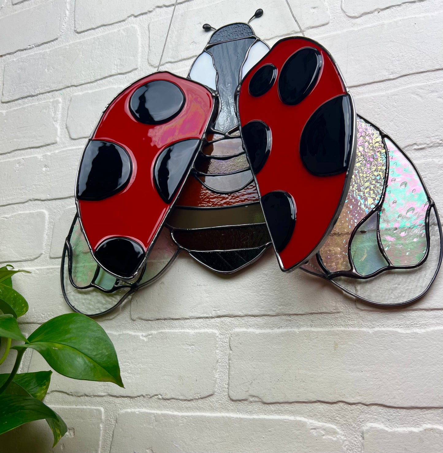 Ladybug