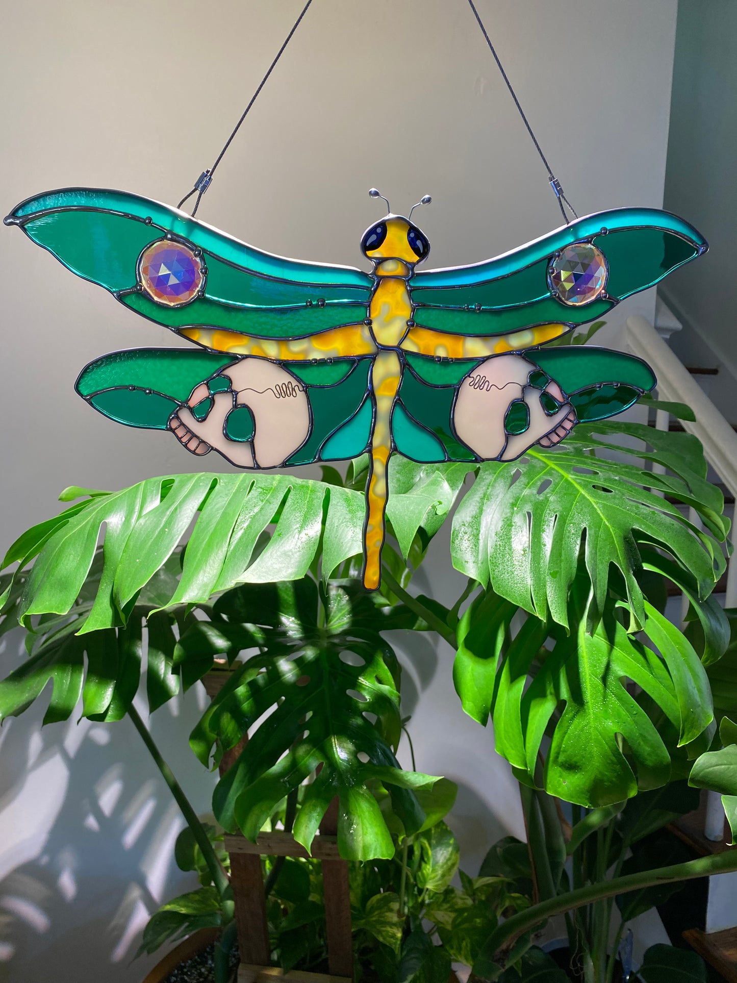 Dragonfly