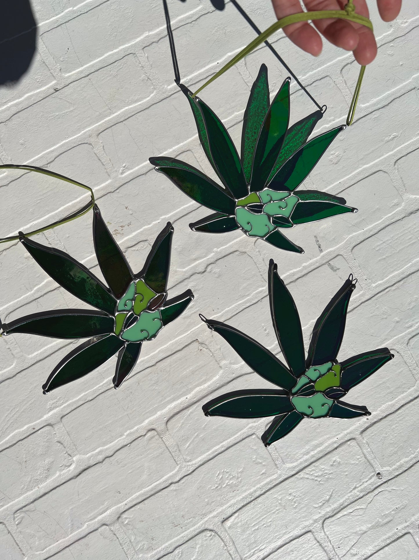 Sweet leaf