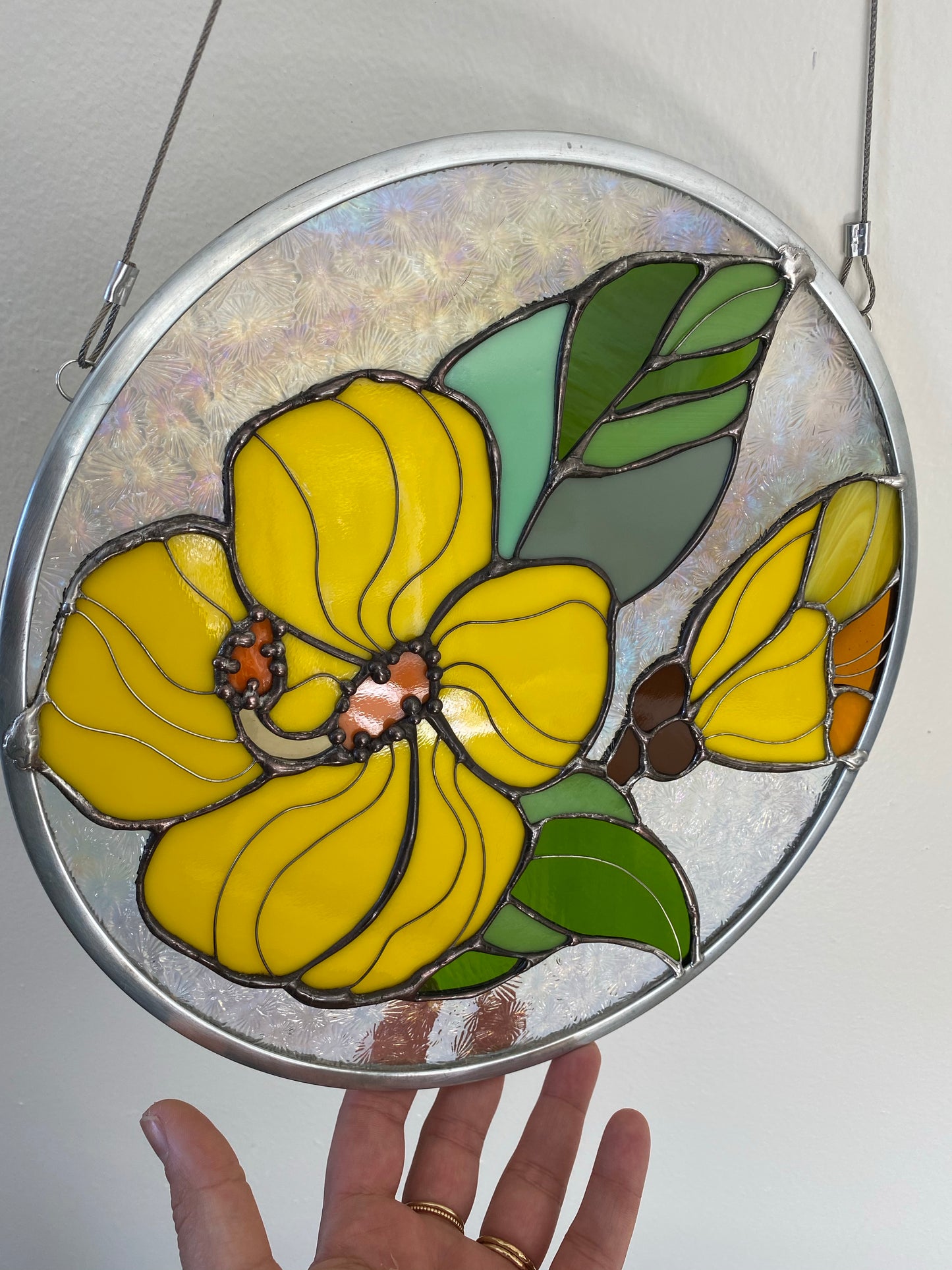Sweet hibiscus