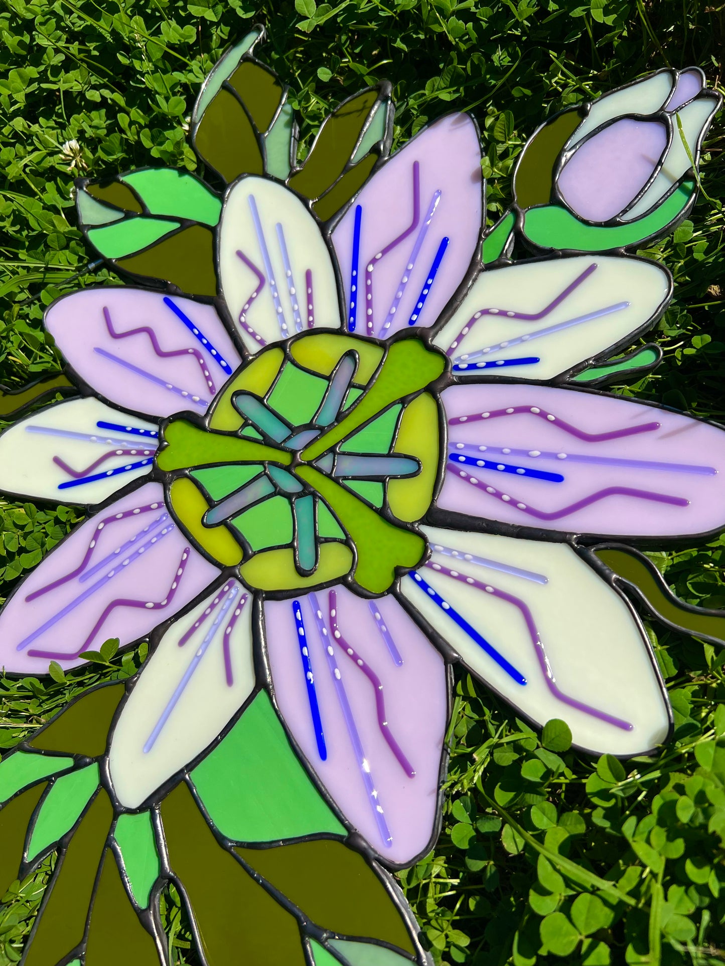 Passion flower