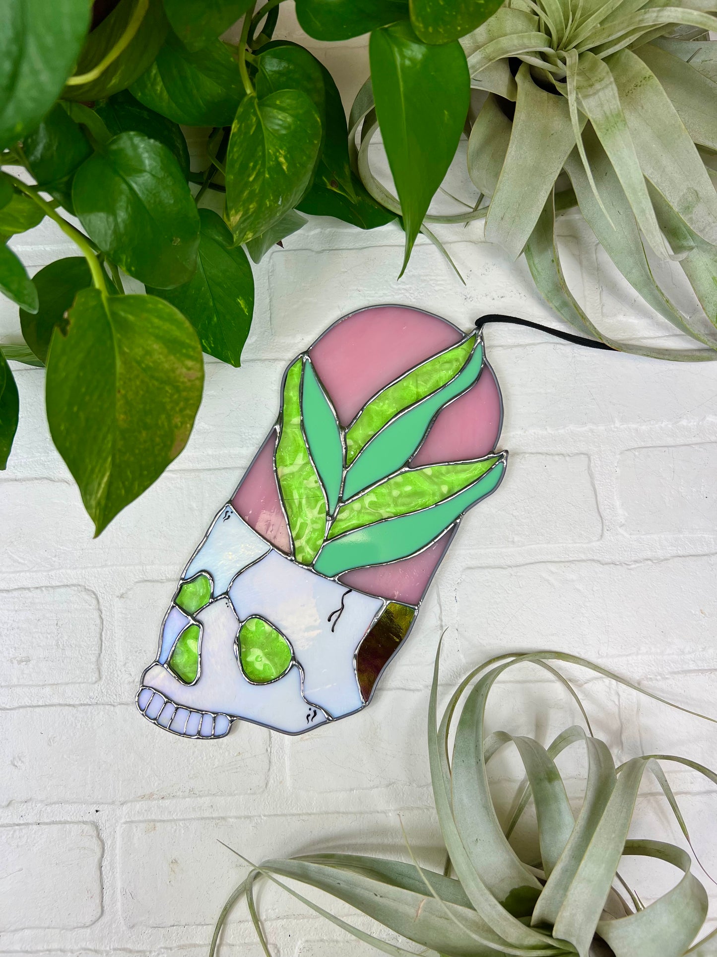 Plant heads
