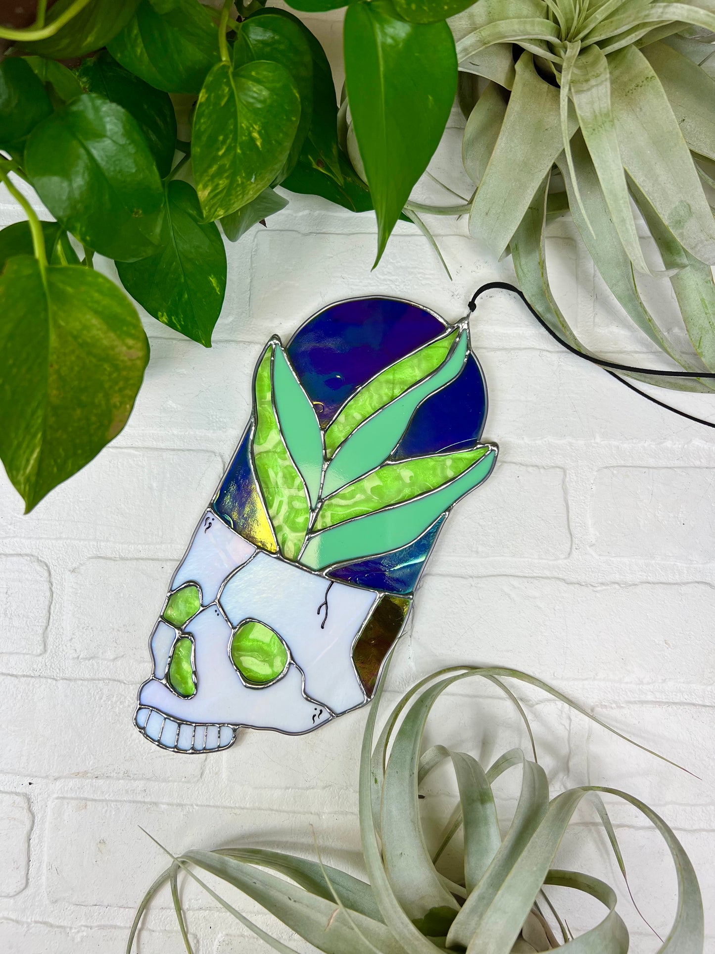 Plant heads