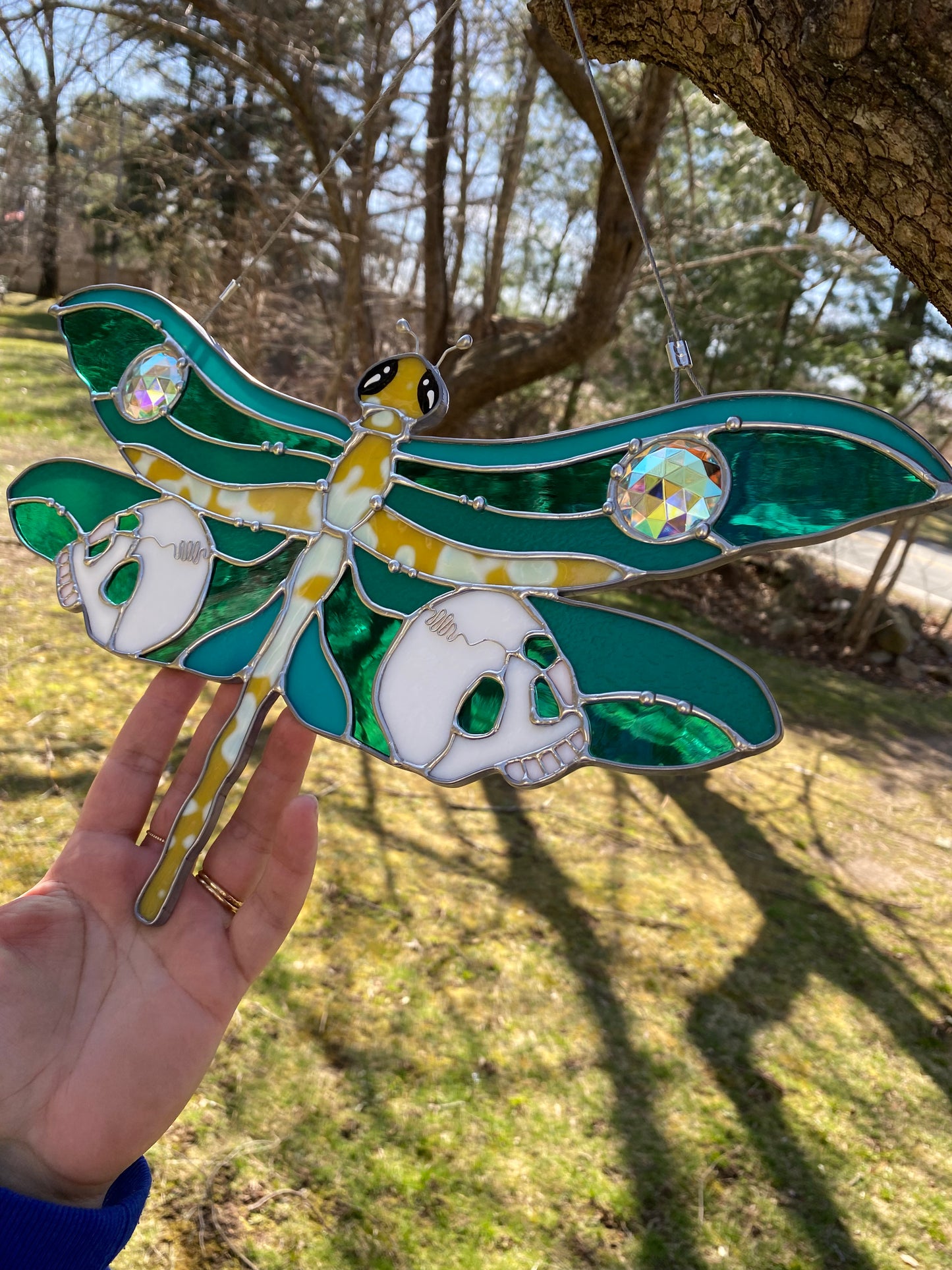 Dragonfly