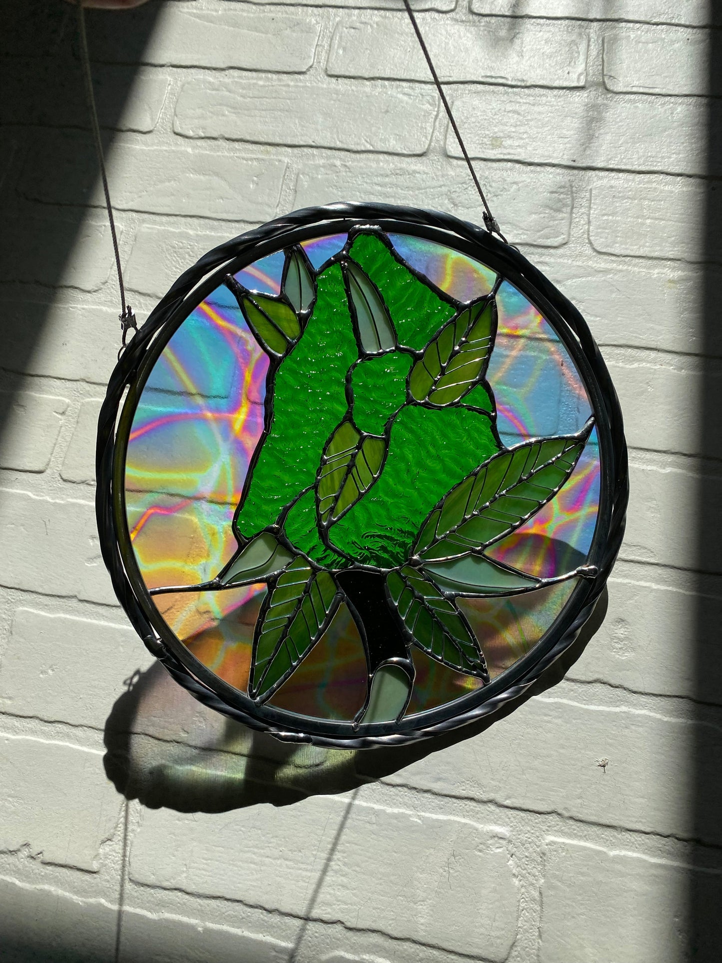Devils lettuce