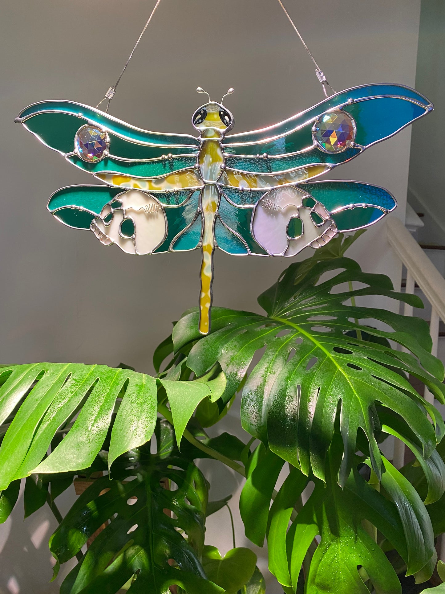 Dragonfly