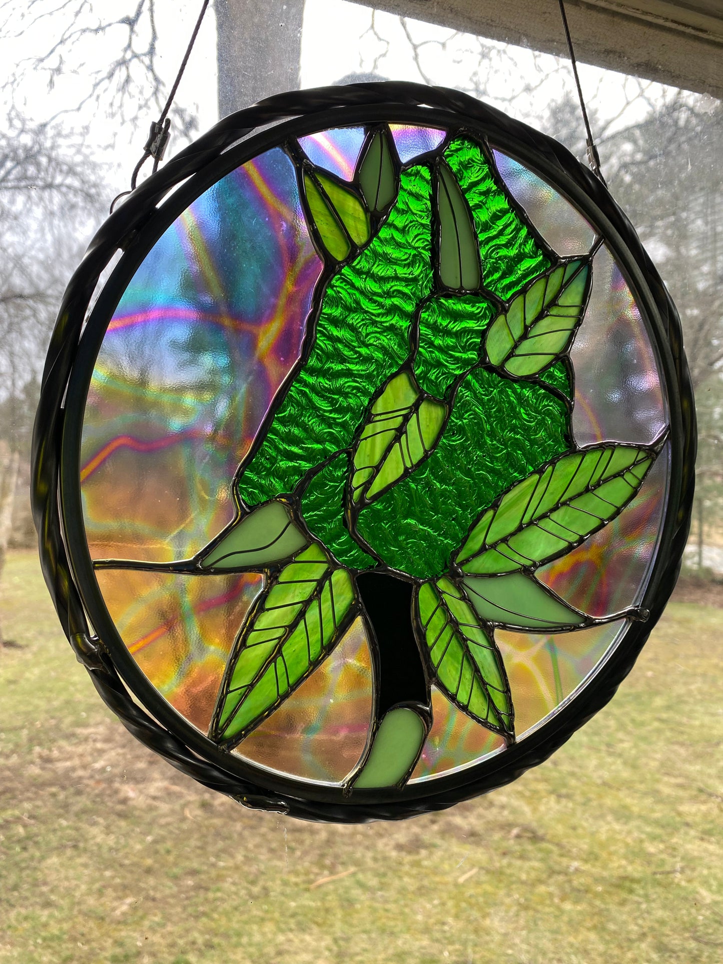 Devils lettuce