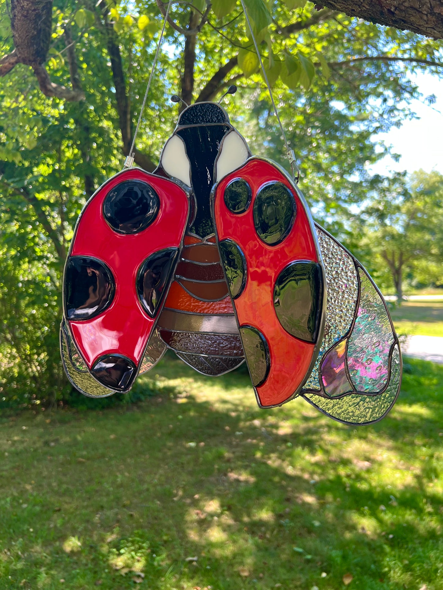 Ladybug