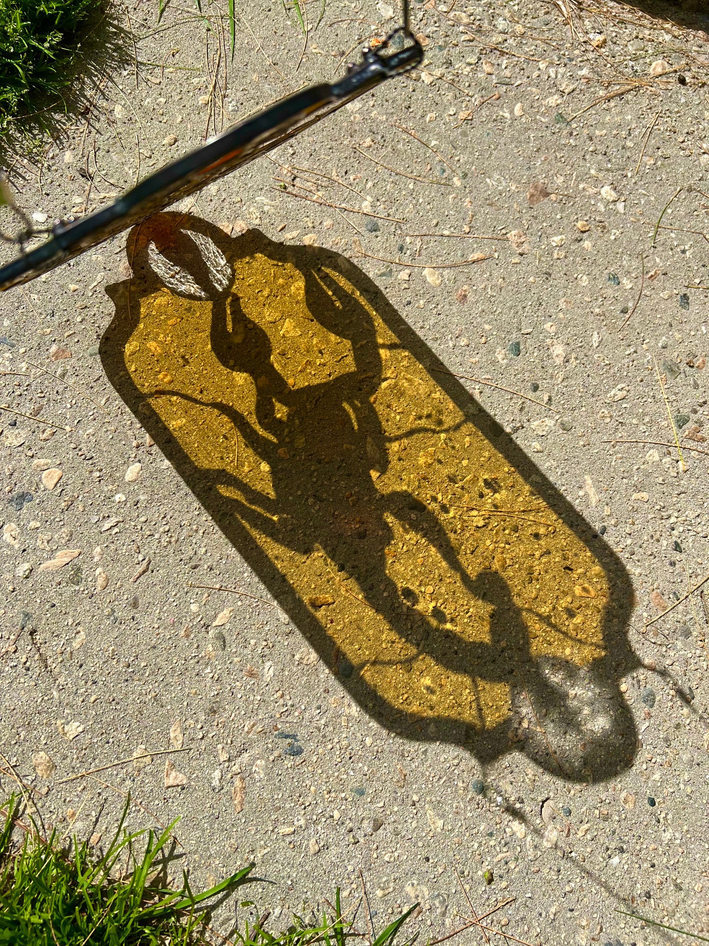 Golden Scorpion