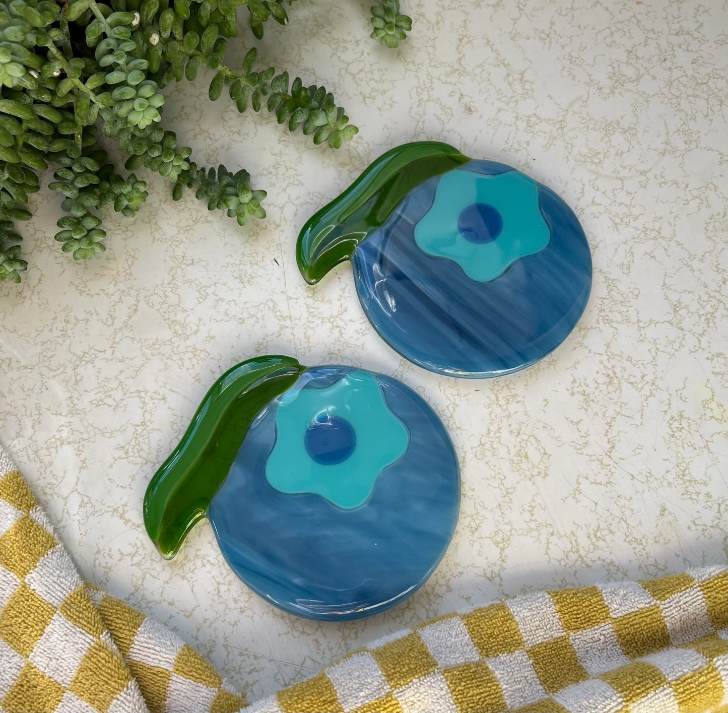 Blueberry coaster set