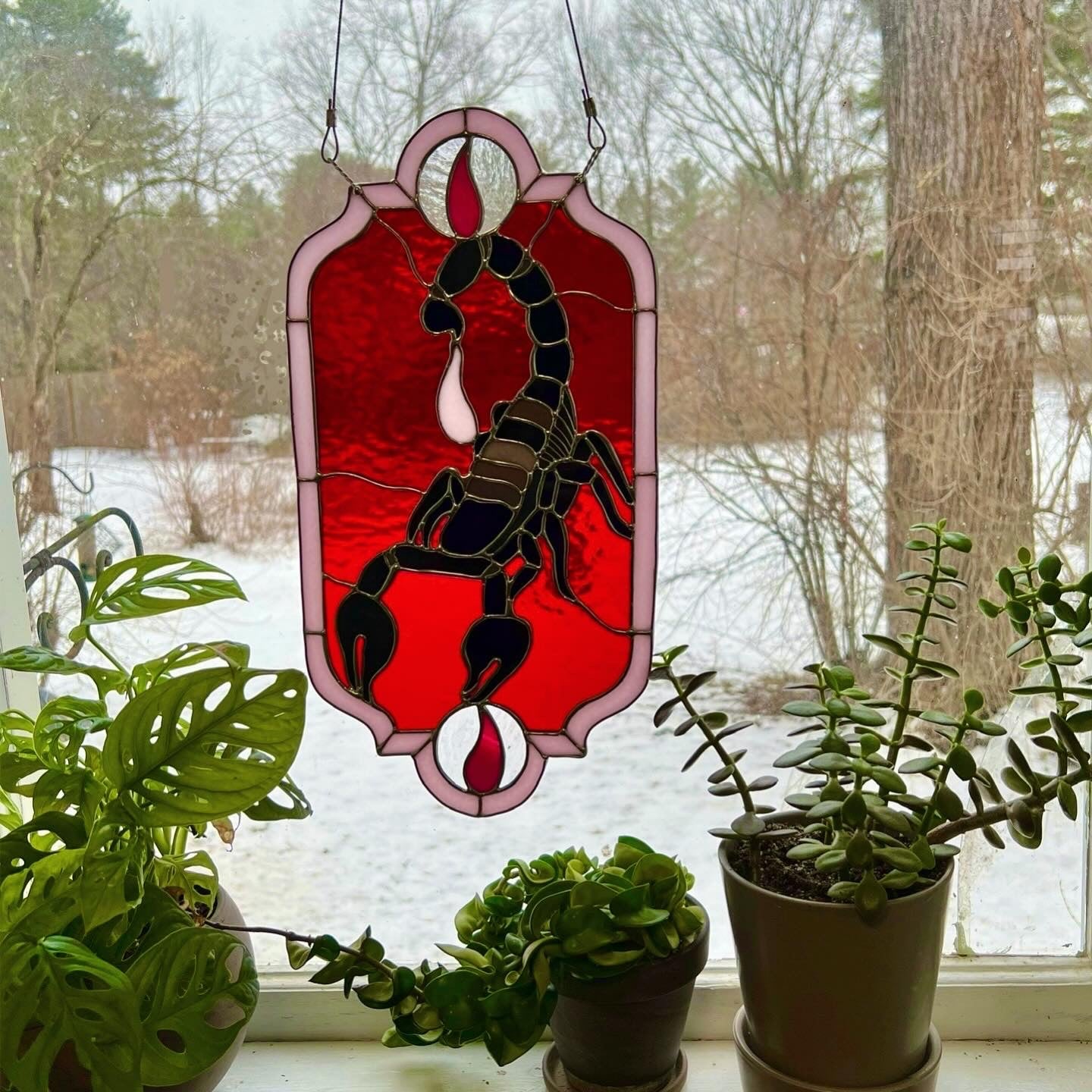 Scorpion