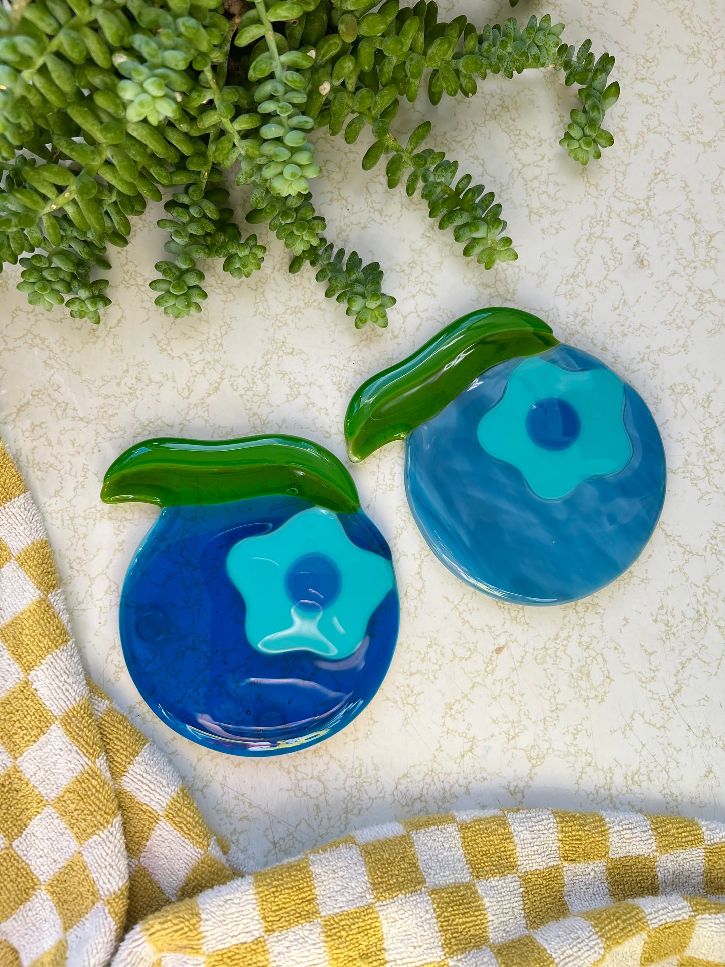 Blueberry coaster set