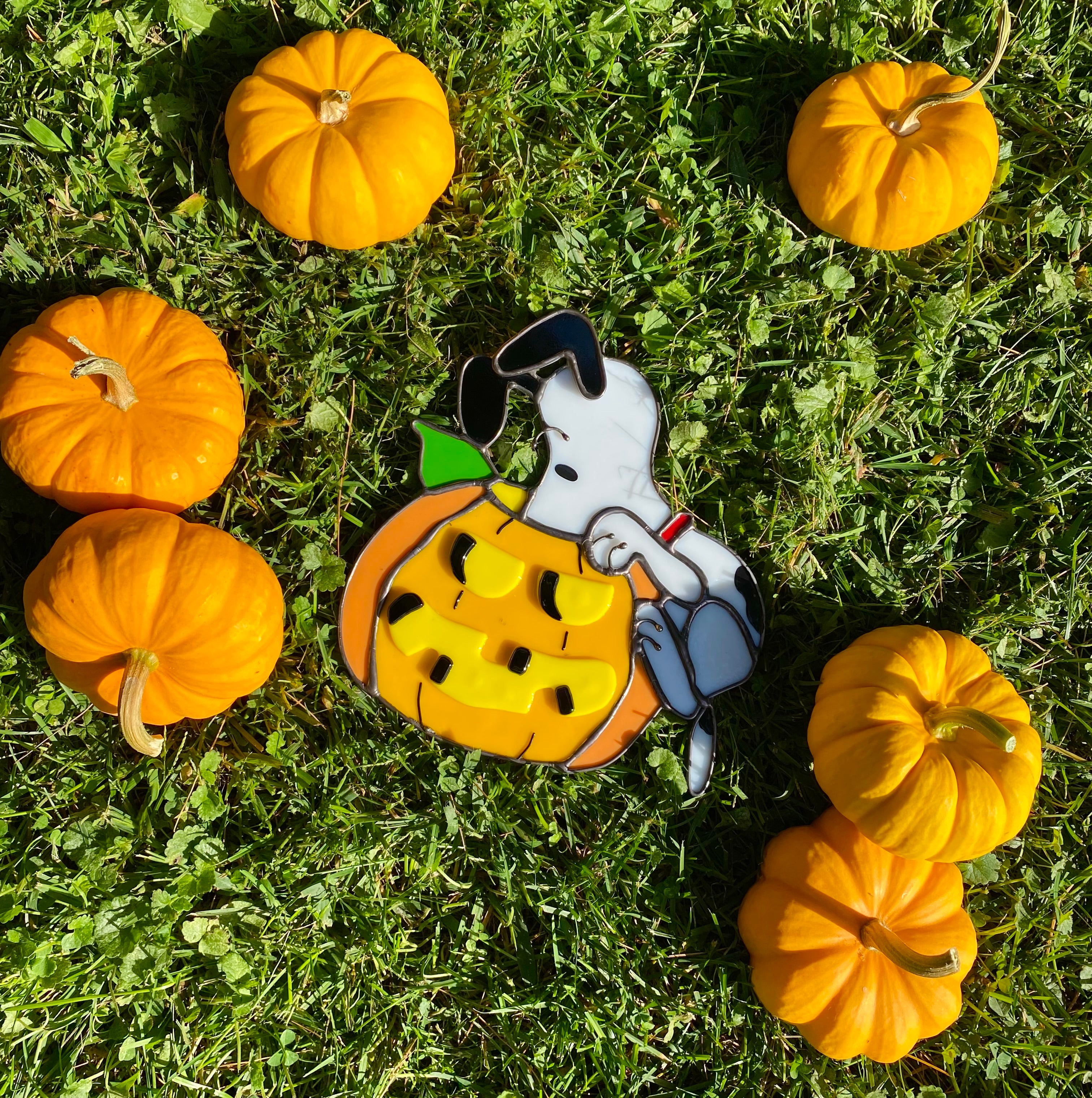 Snoopy pumpkin