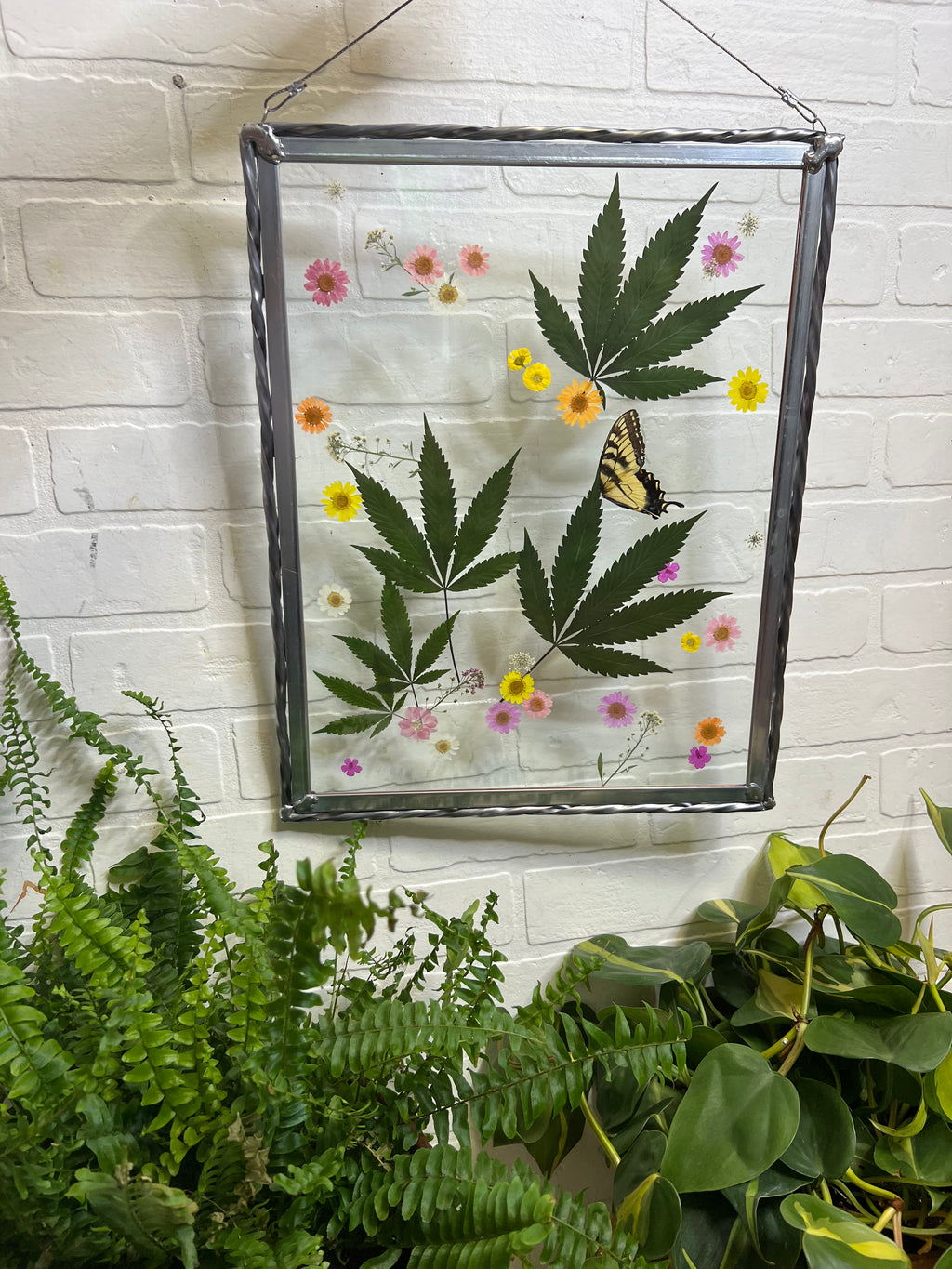 XL Pressed flowers