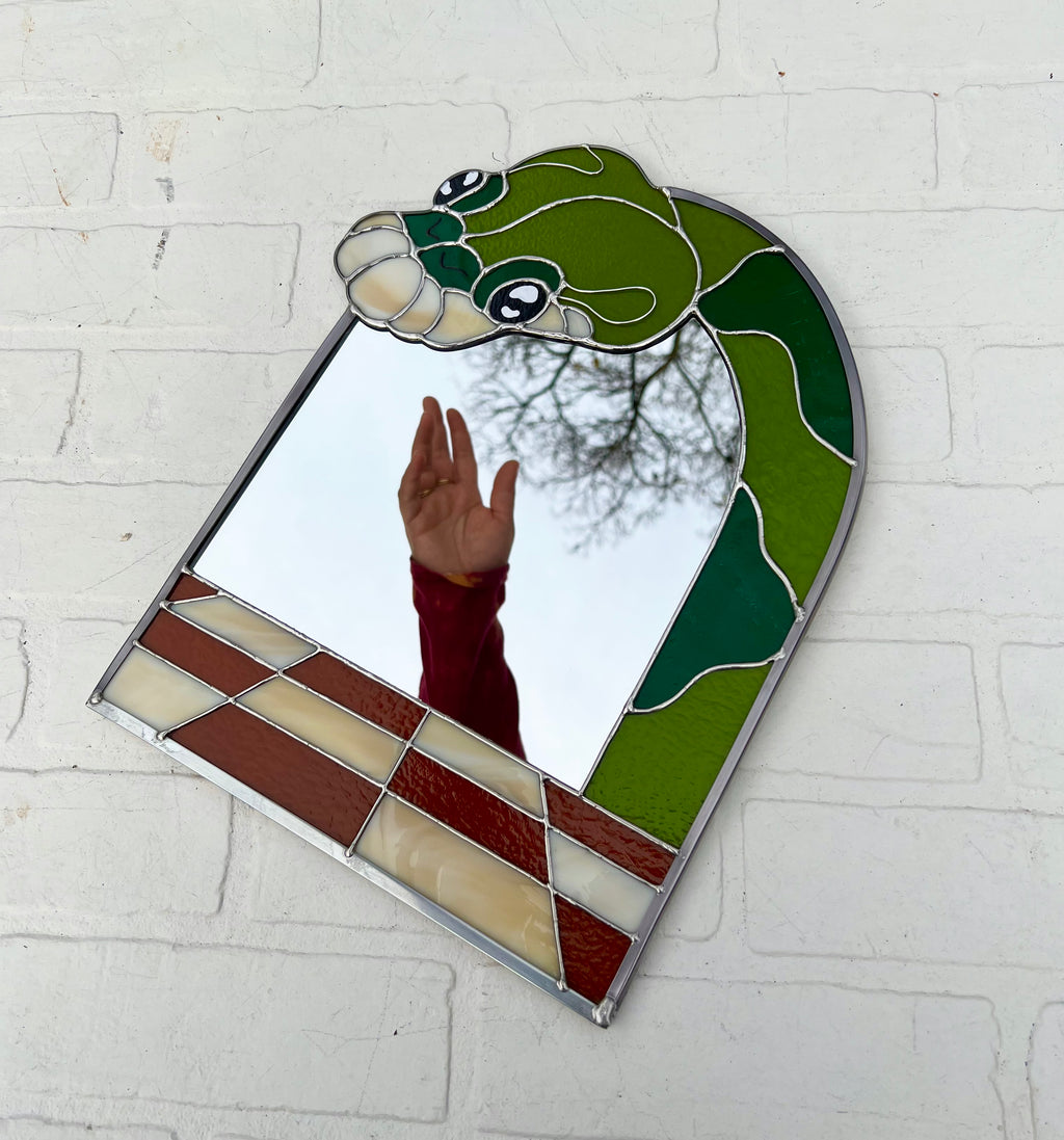 Snake portal mirror