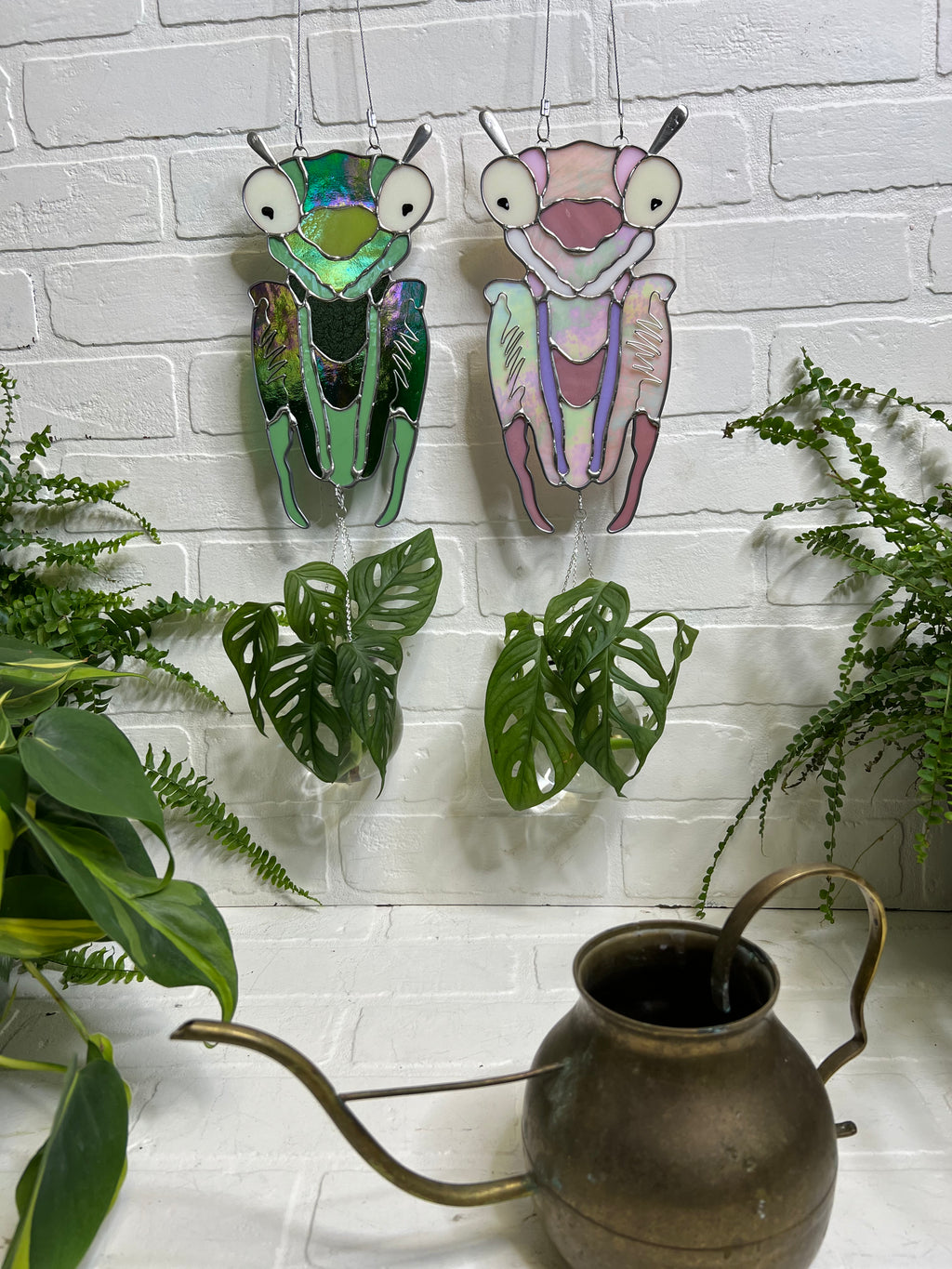 Praying Mantis Propagation