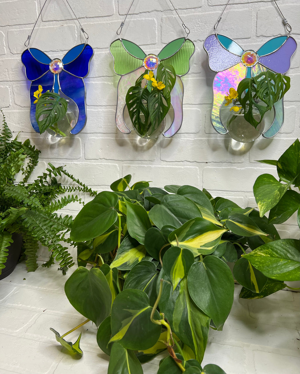 Butterfly Propagation